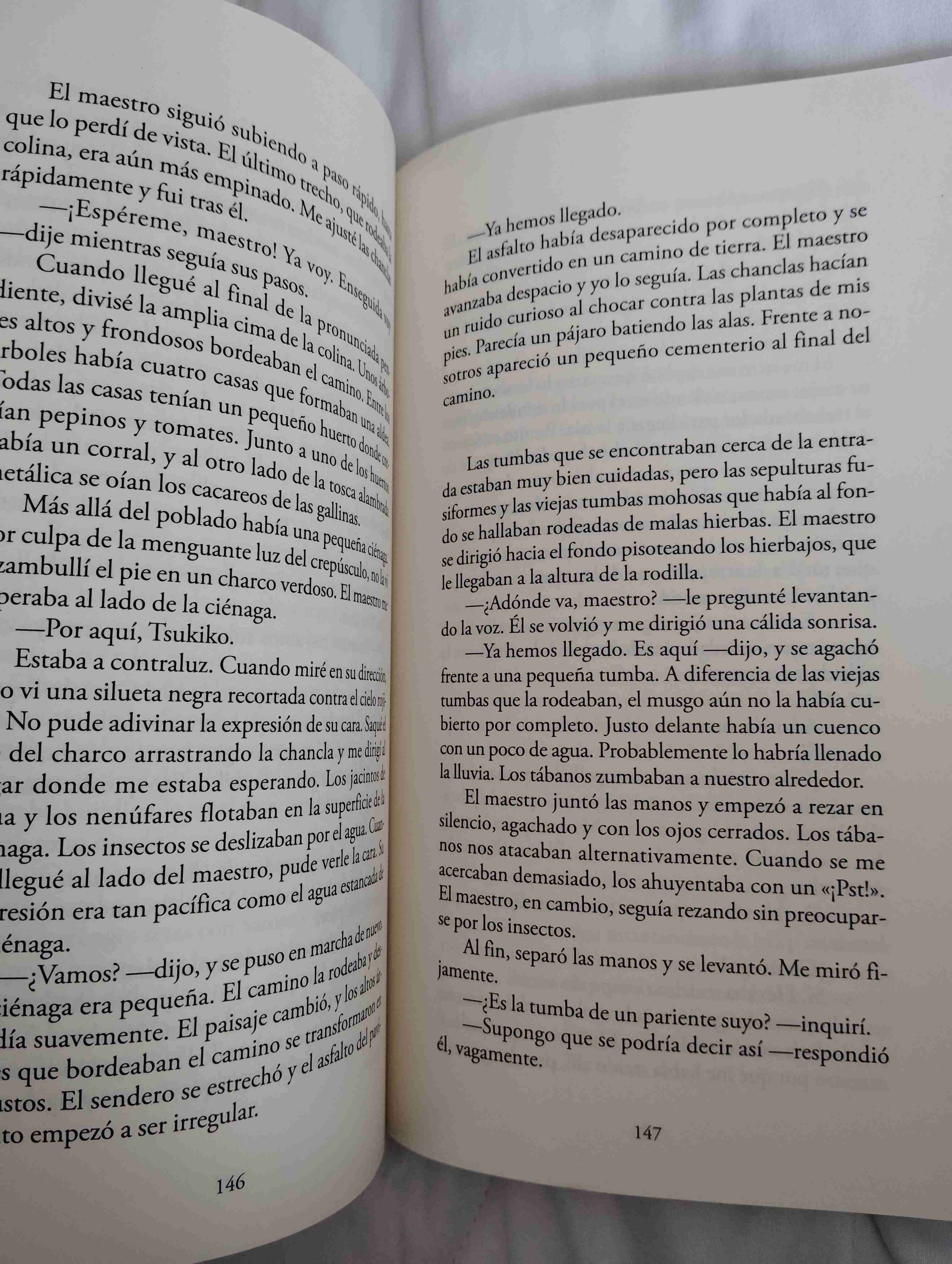 El cielo es azul, la tierra blanca - miniatura 3