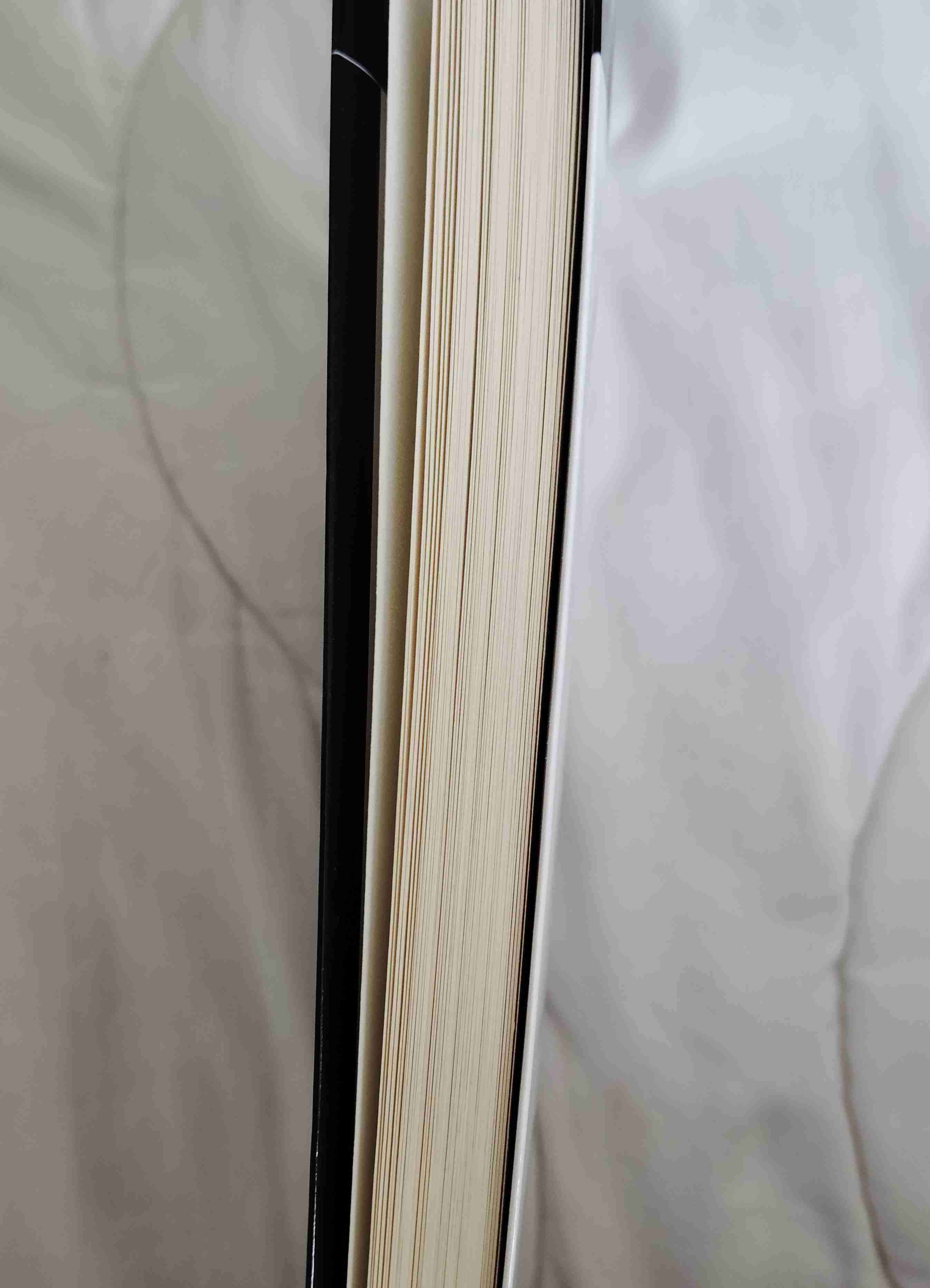 El cielo es azul, la tierra blanca - miniatura 4