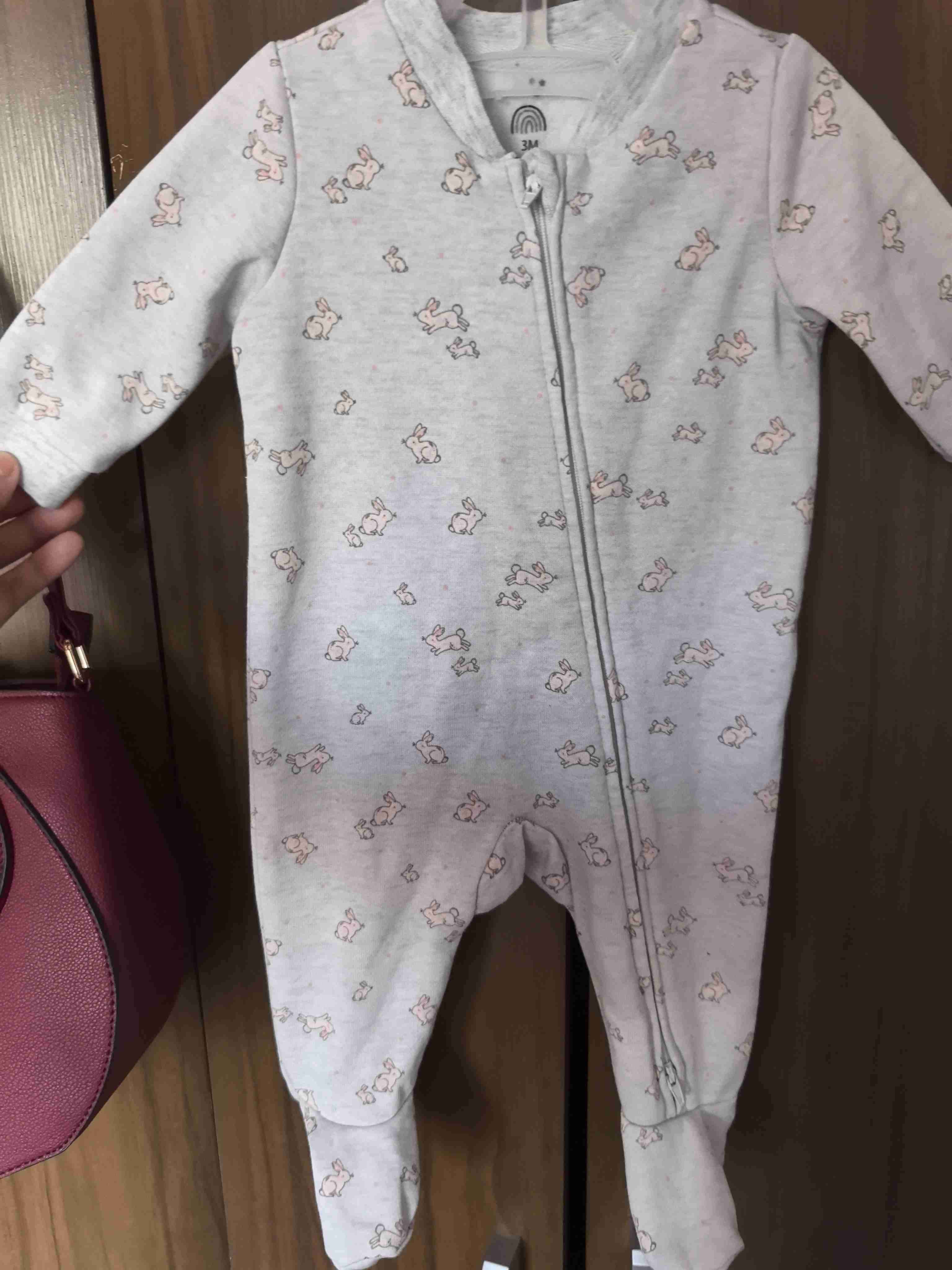 Enterito bebé gris con conejitos