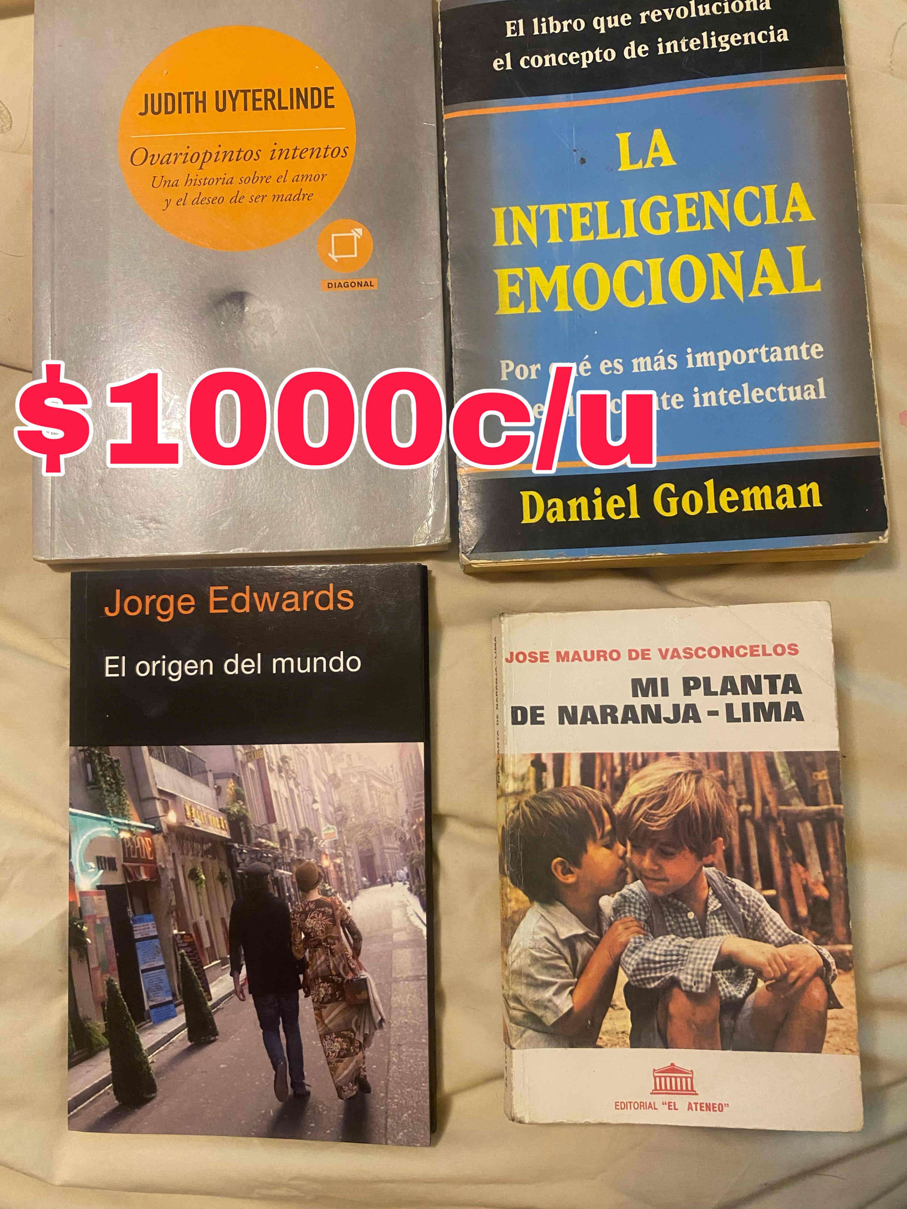 Lote de libros variados - miniatura 2