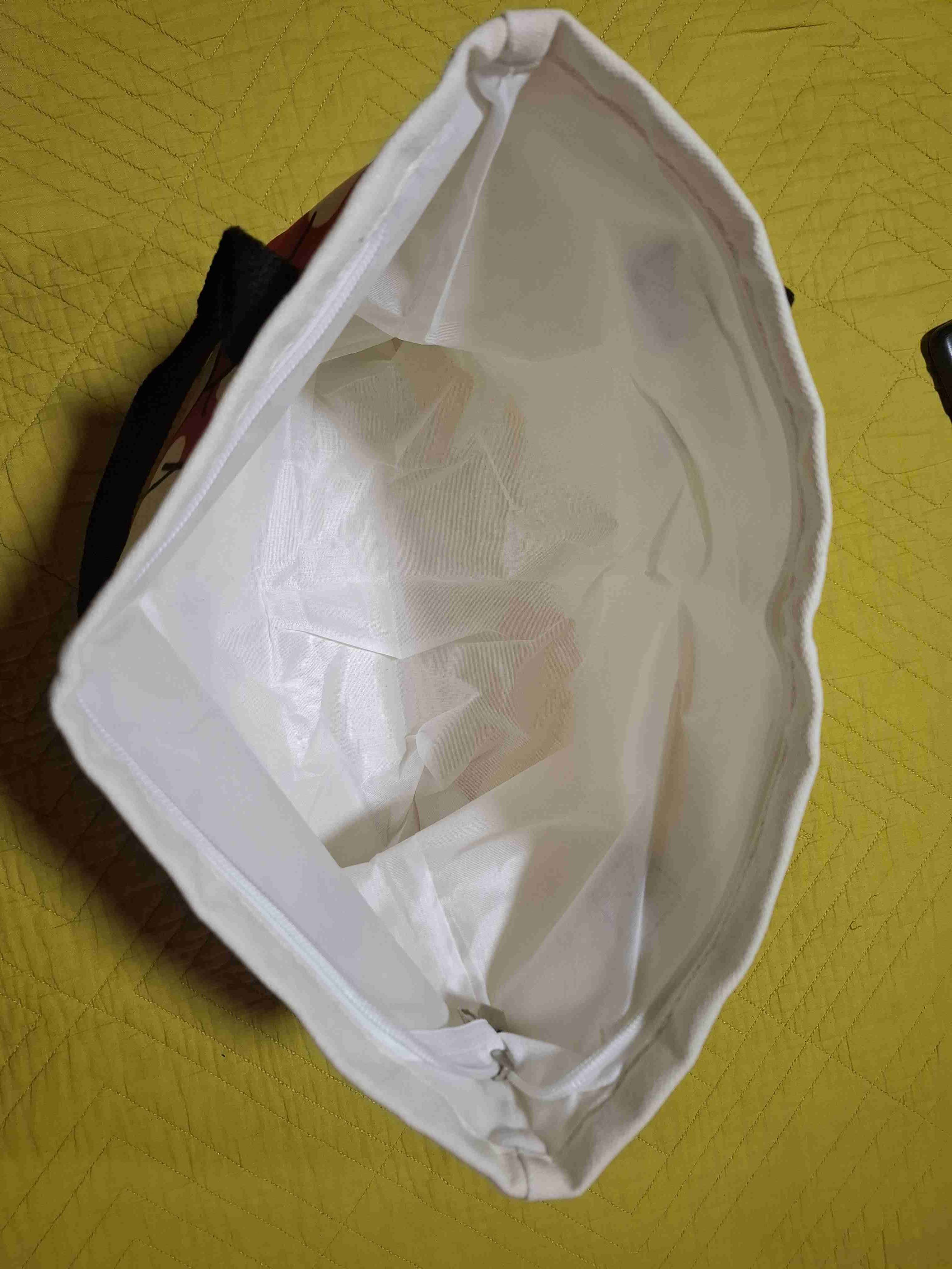 Bolso de Tela Minnie y Daisy - miniatura 2