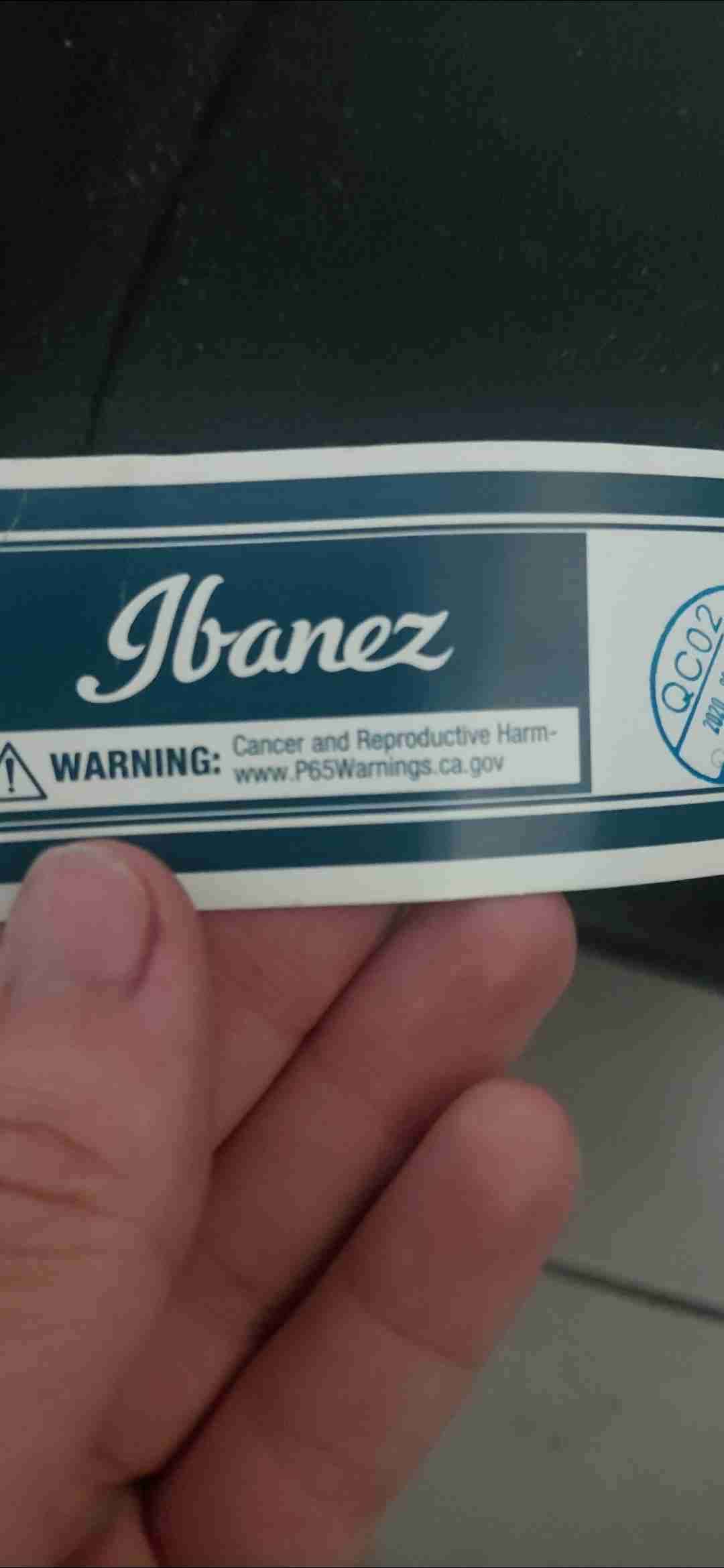 Guitarra acústica Ibanez - miniatura 5