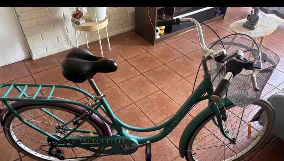 Bicicleta urbana verde