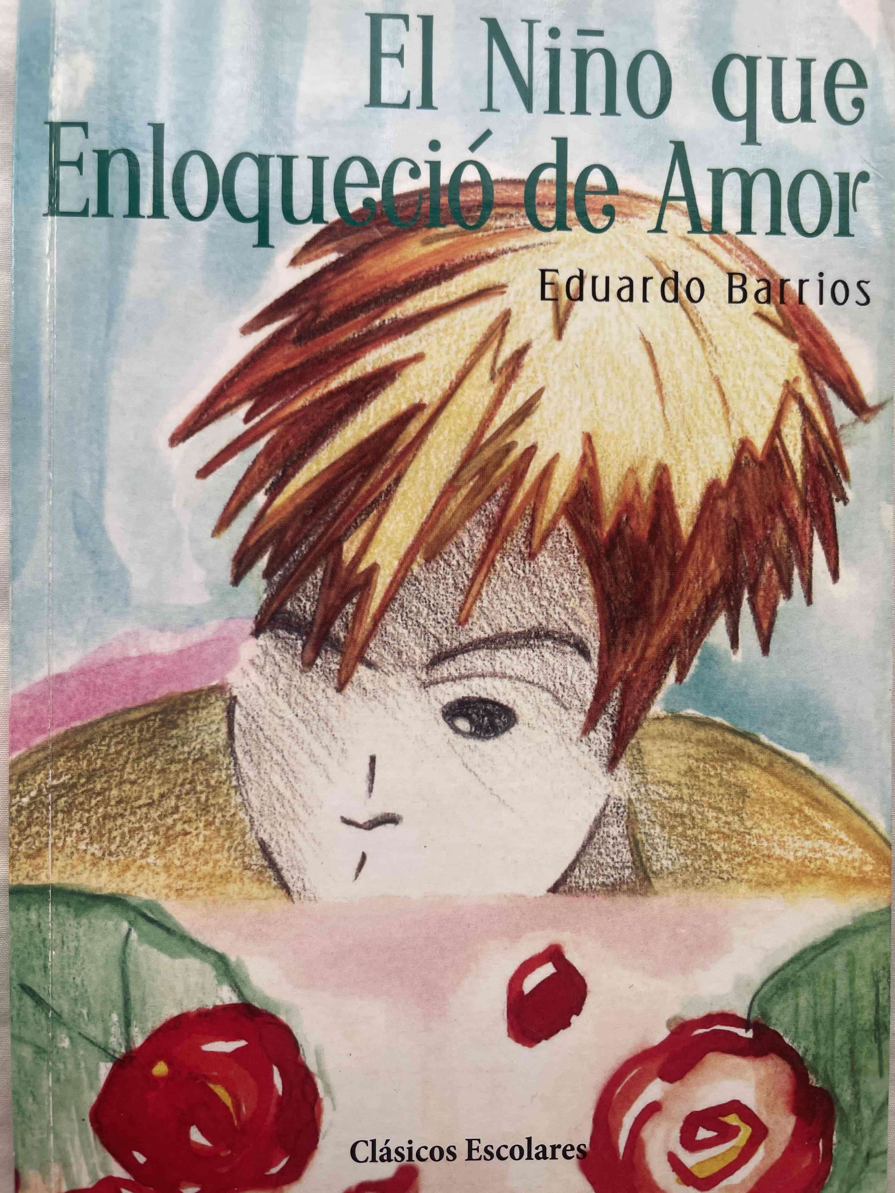 Libro 'El Niño que Enloqueció de Amor'