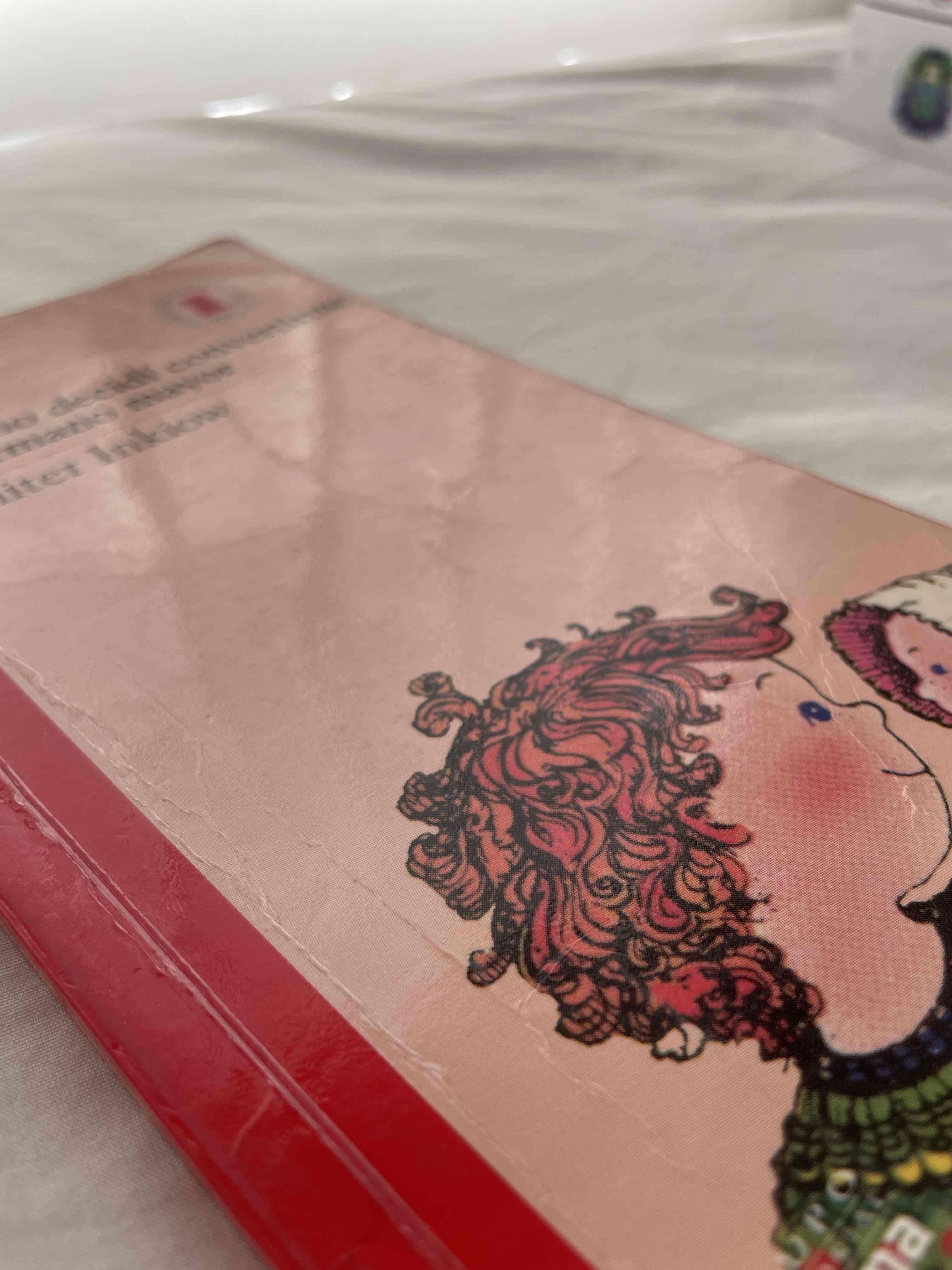 Libro 'De cómo decidí convertirme en hermano mayor' - miniatura 3