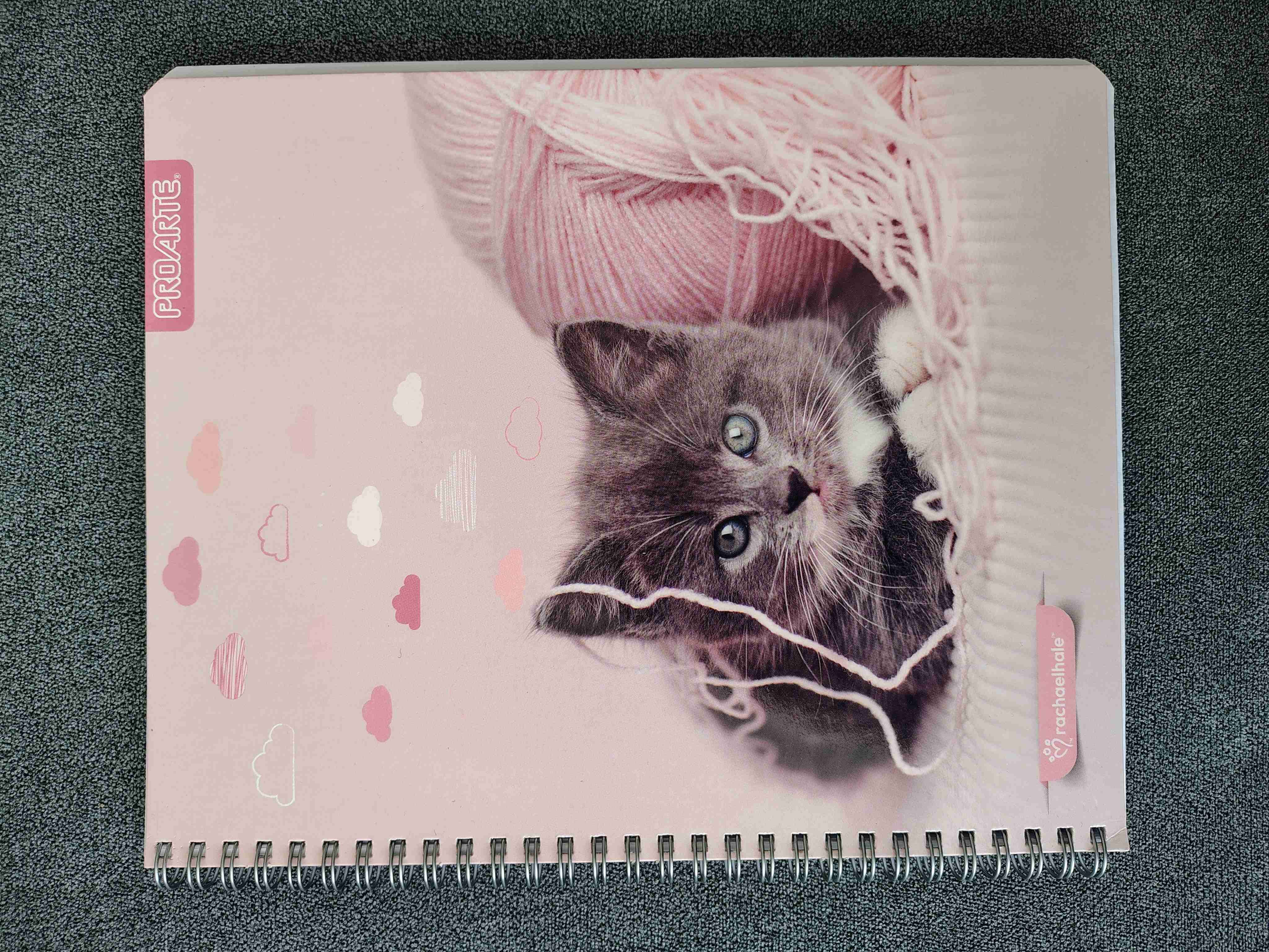 📓 Pack 5 Cuadernos con Diseños de Gatos 🐱 - miniatura 4