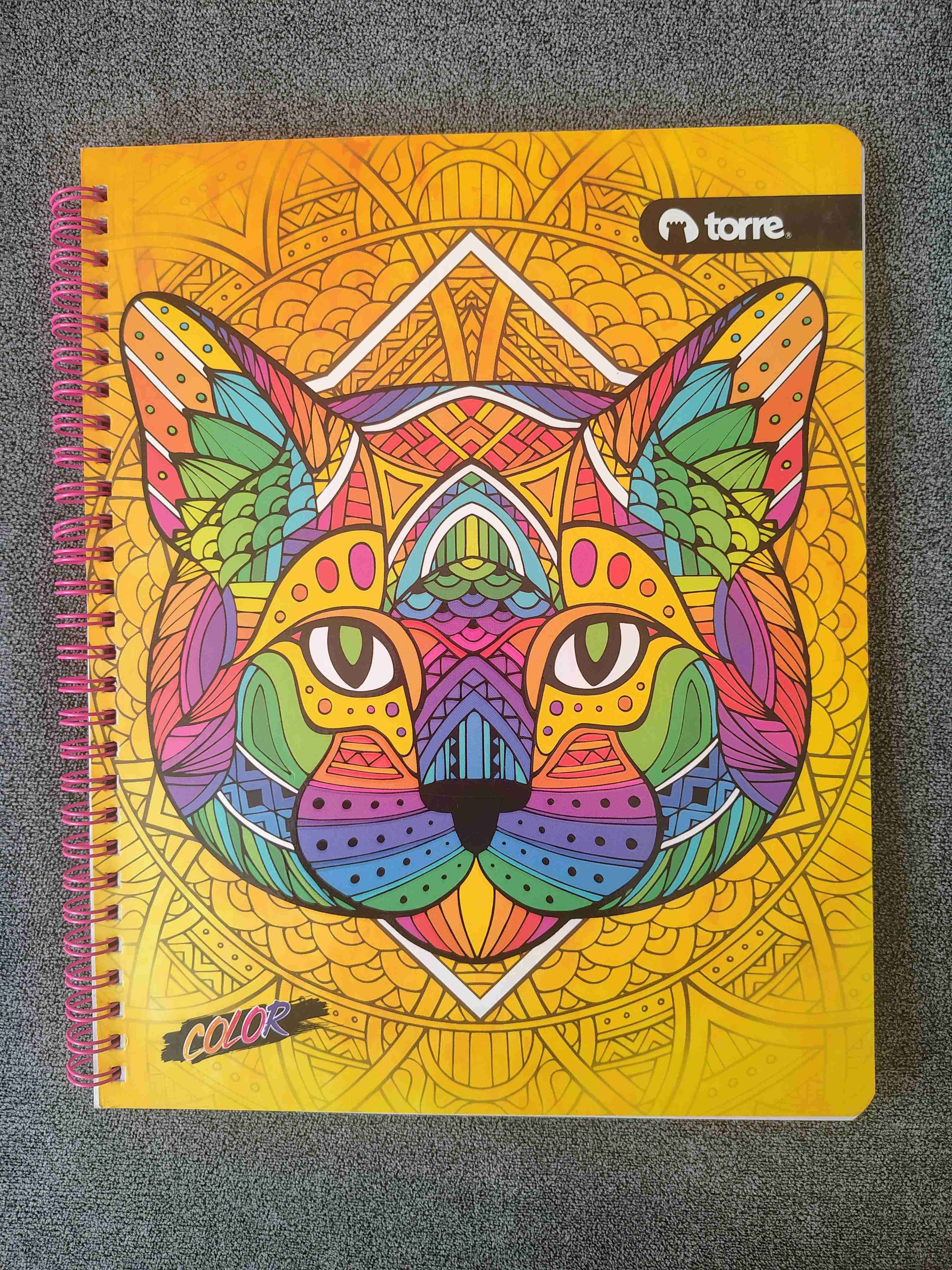 🦁 Pack 5 Cuadernos con diseños de animales