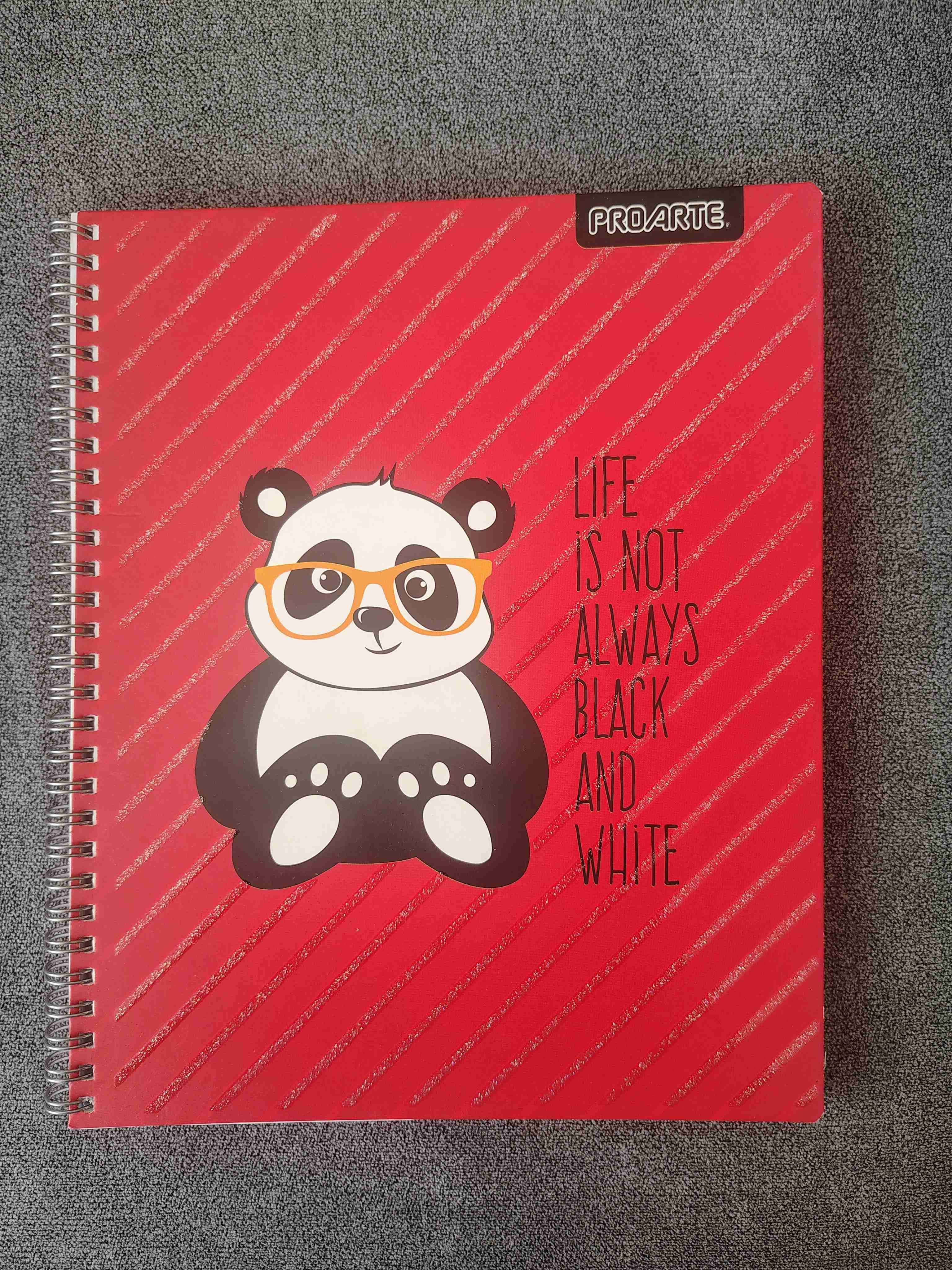 🦁 Pack 5 Cuadernos con diseños de animales - miniatura 2