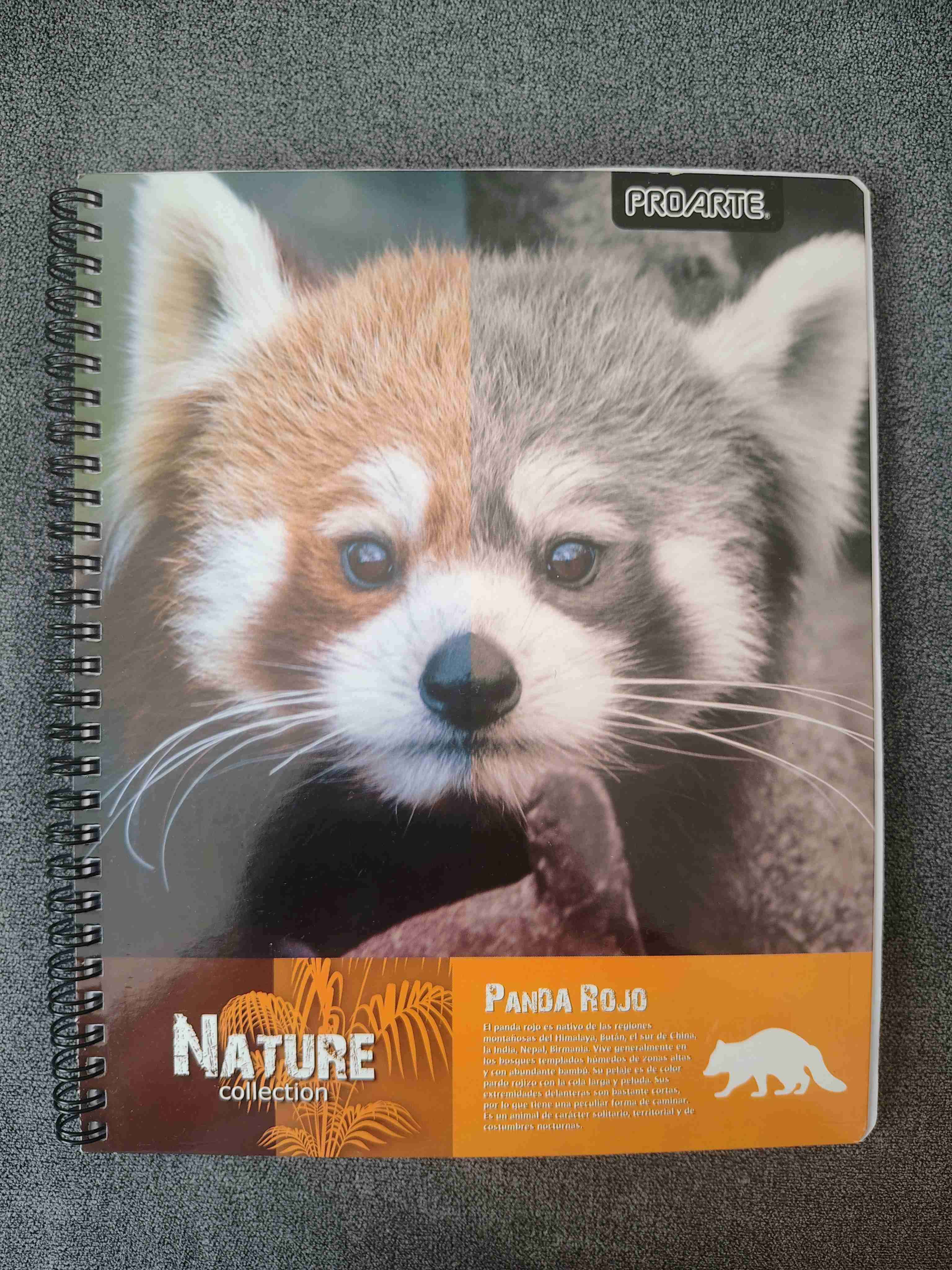 🦁 Pack 5 Cuadernos con diseños de animales - miniatura 5