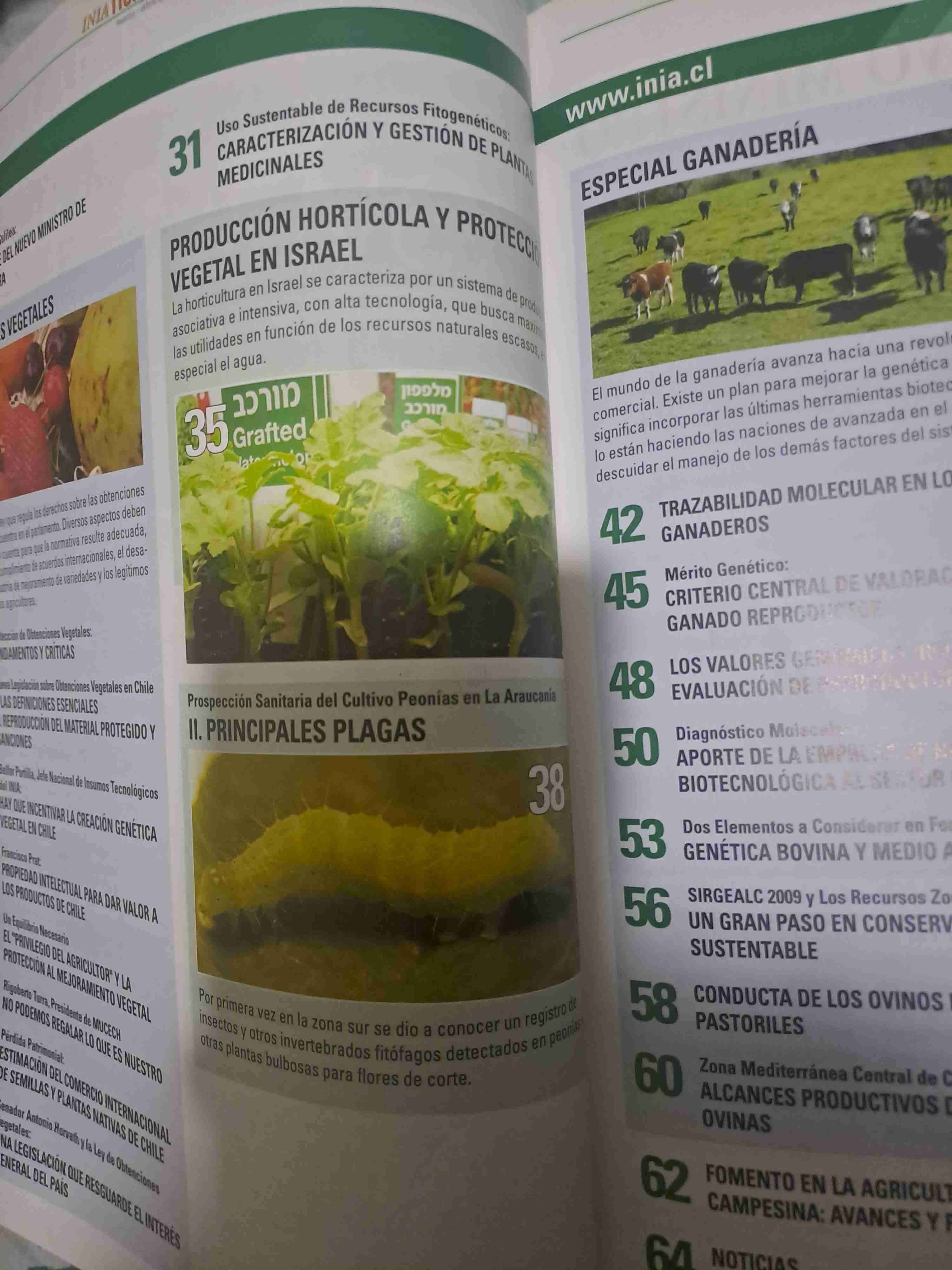 Revista Tierra Adentro edición 89 - miniatura 3