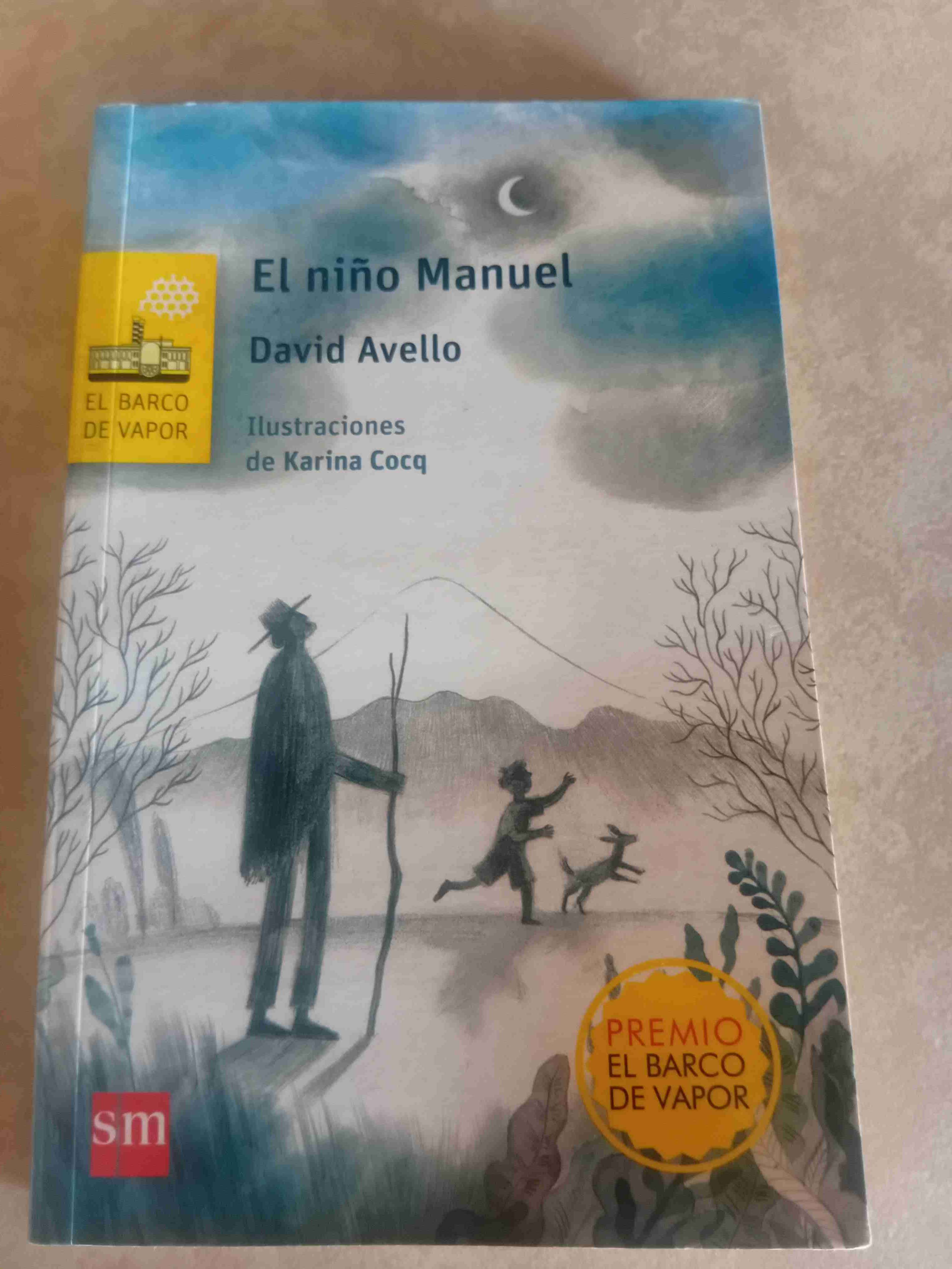 Libro 'El niño Manuel'