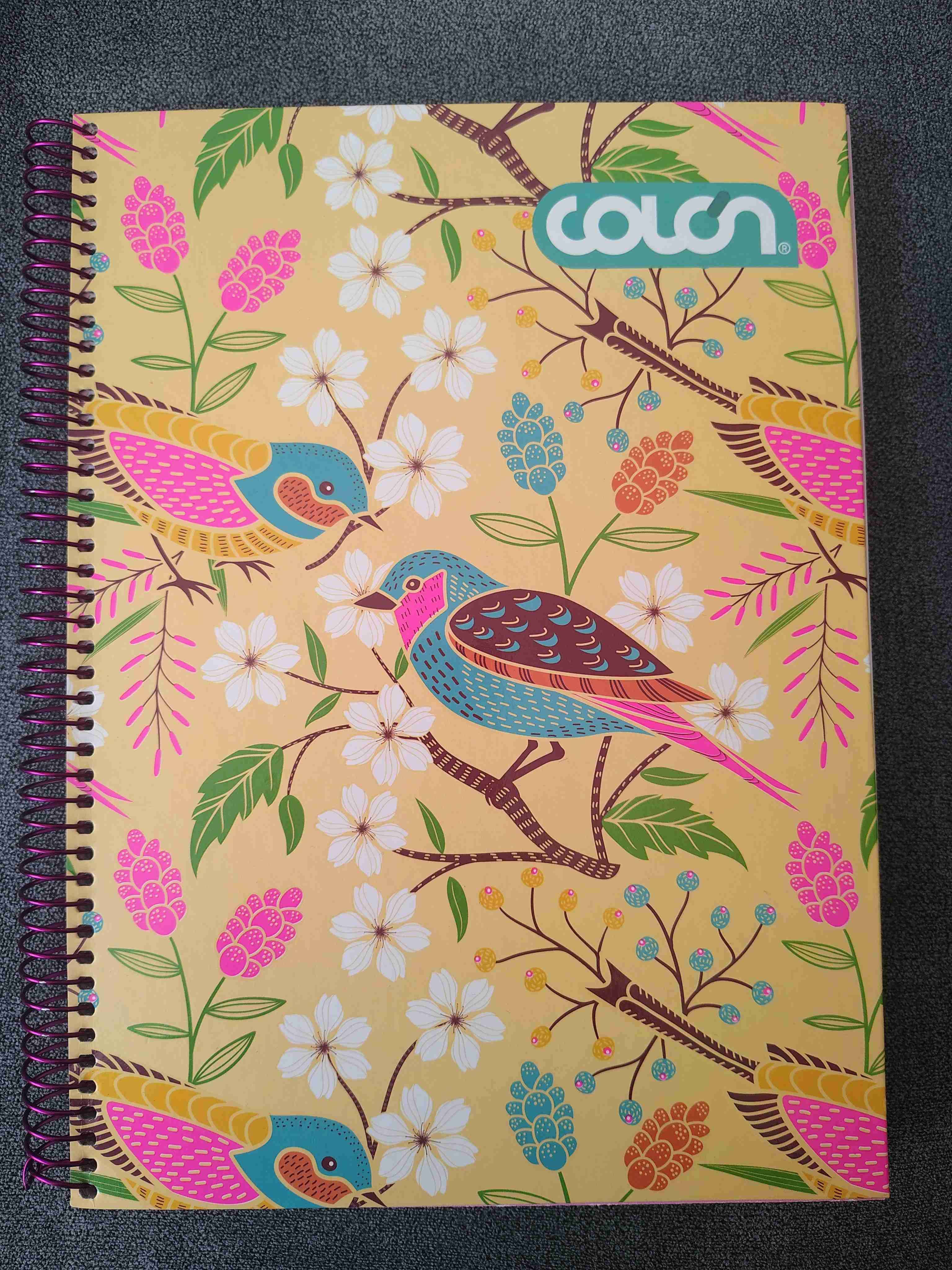 🌸 Pack 6 Cuadernos Tapa dura - miniatura 2