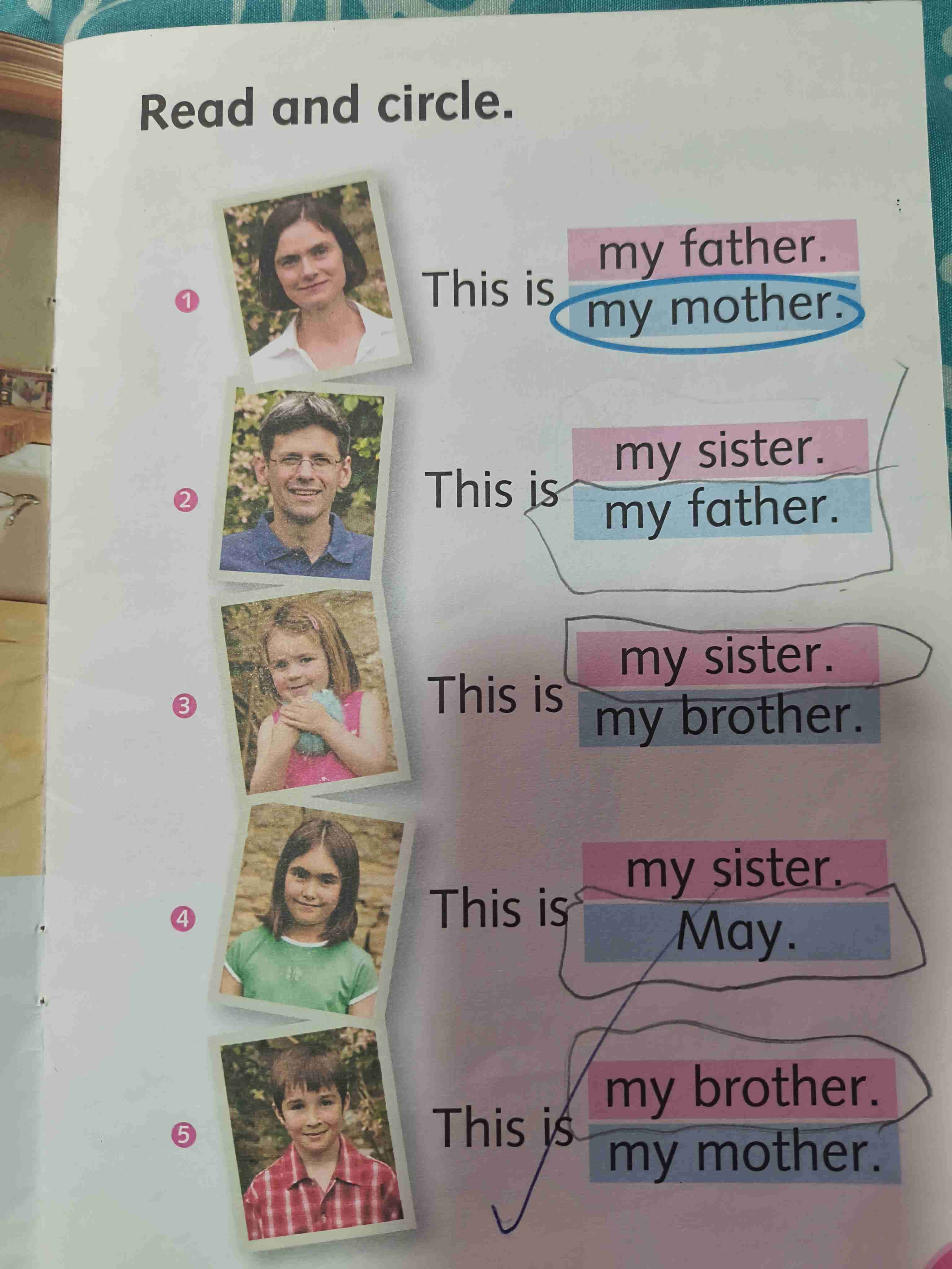 Libro My Family Dolphins Readers - miniatura 3