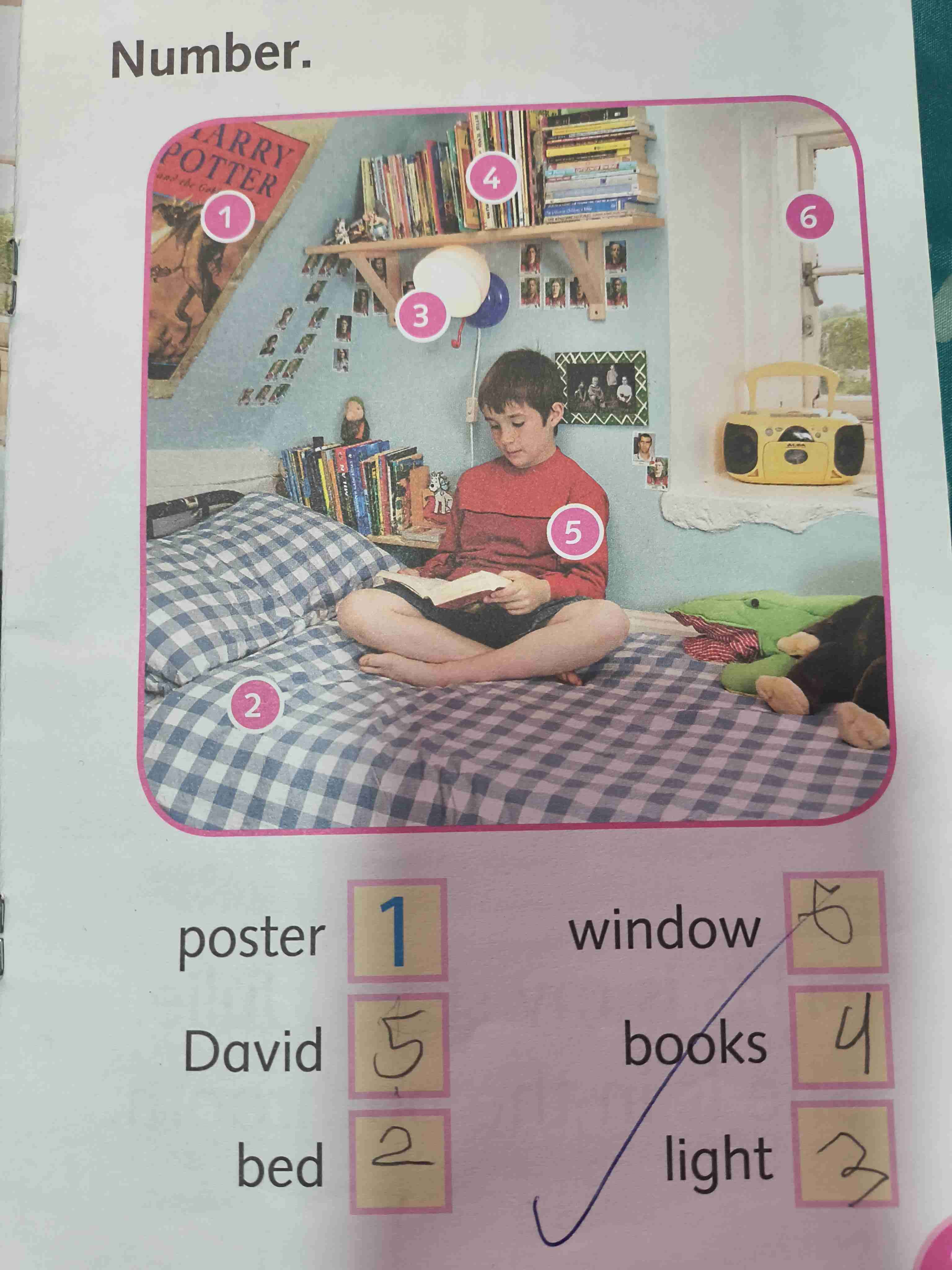 Libro My Family Dolphins Readers - miniatura 4