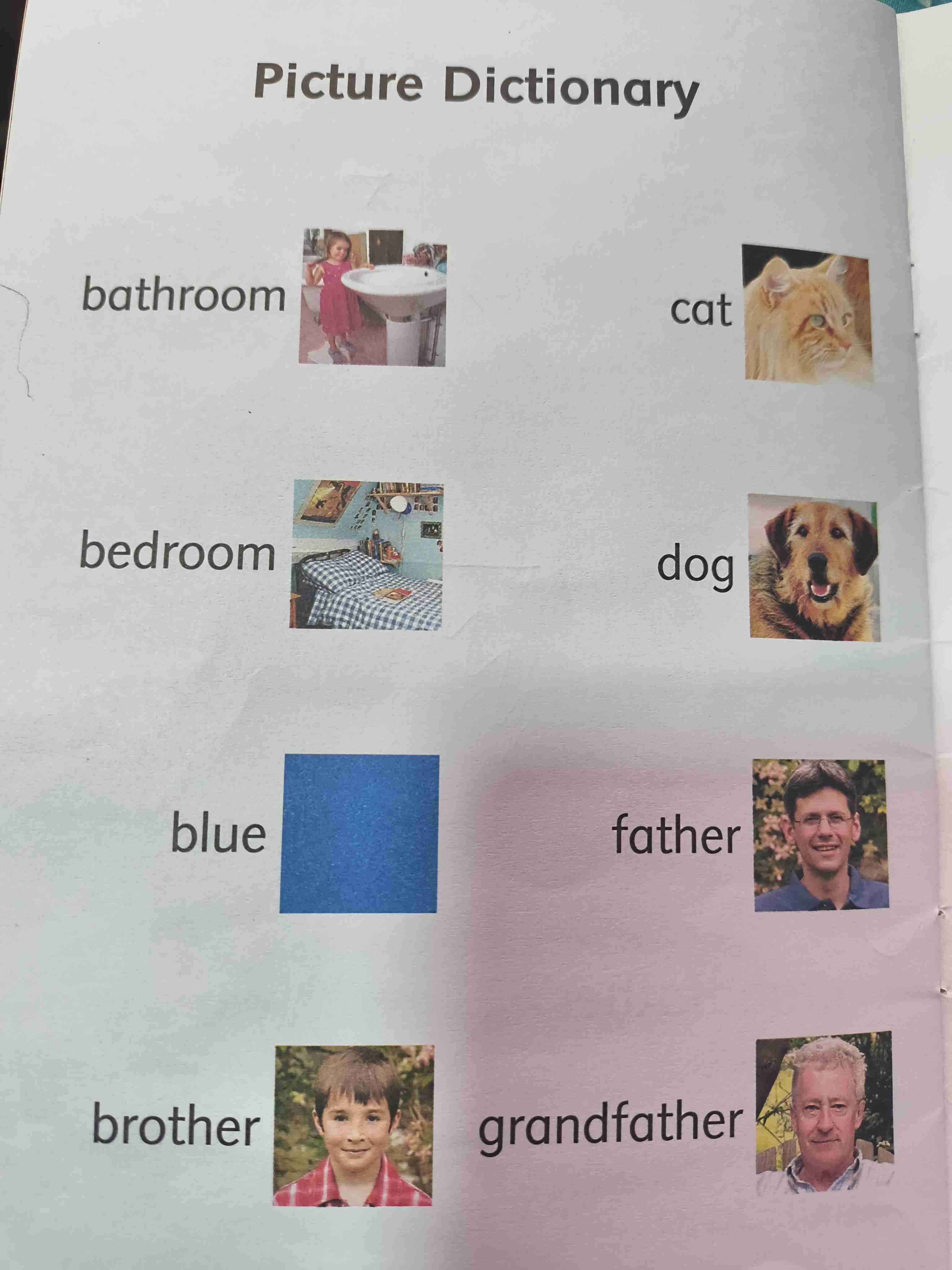 Libro My Family Dolphins Readers - miniatura 5