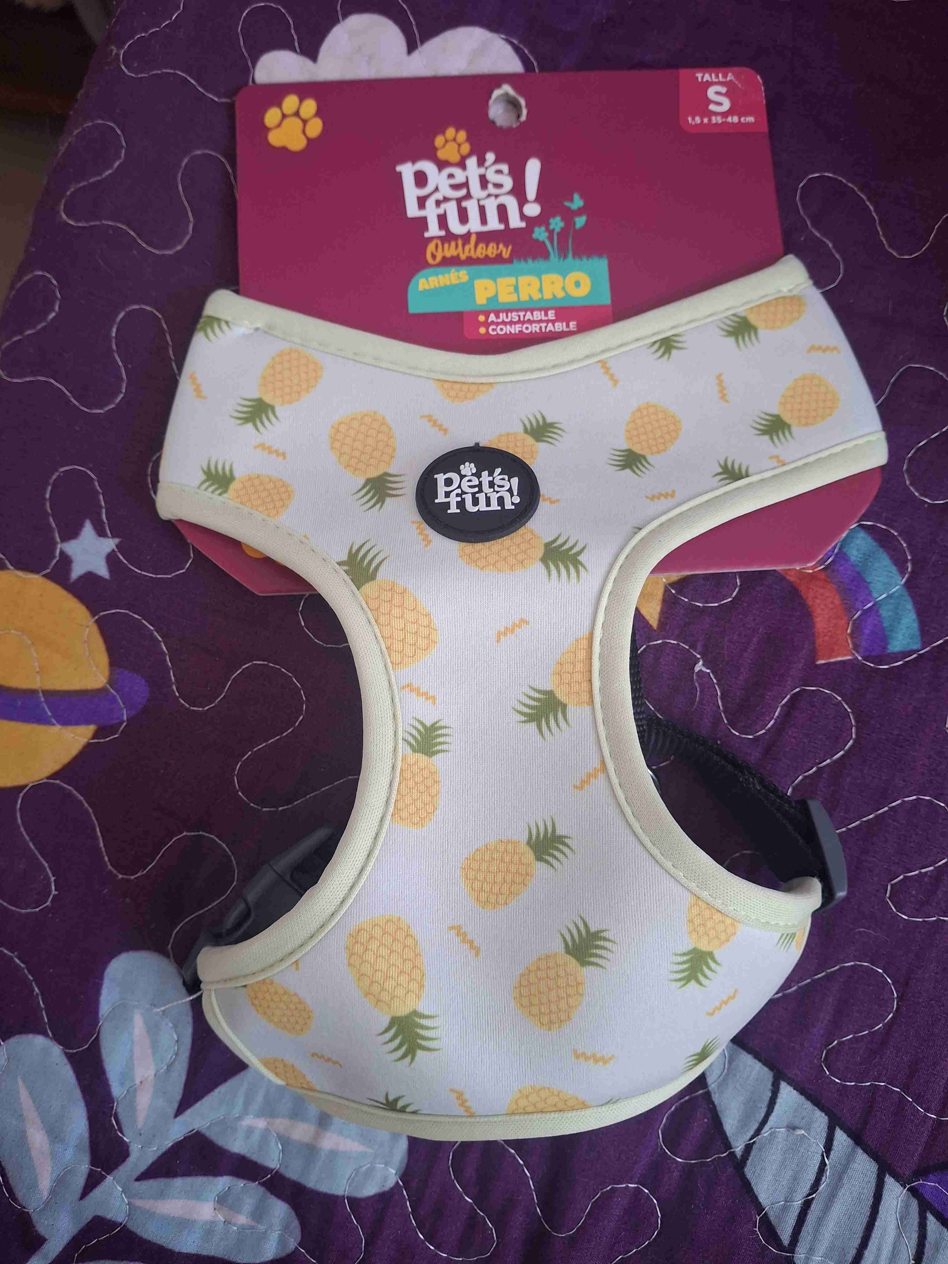 Lote de 20 Arnés para perro estampado pilla