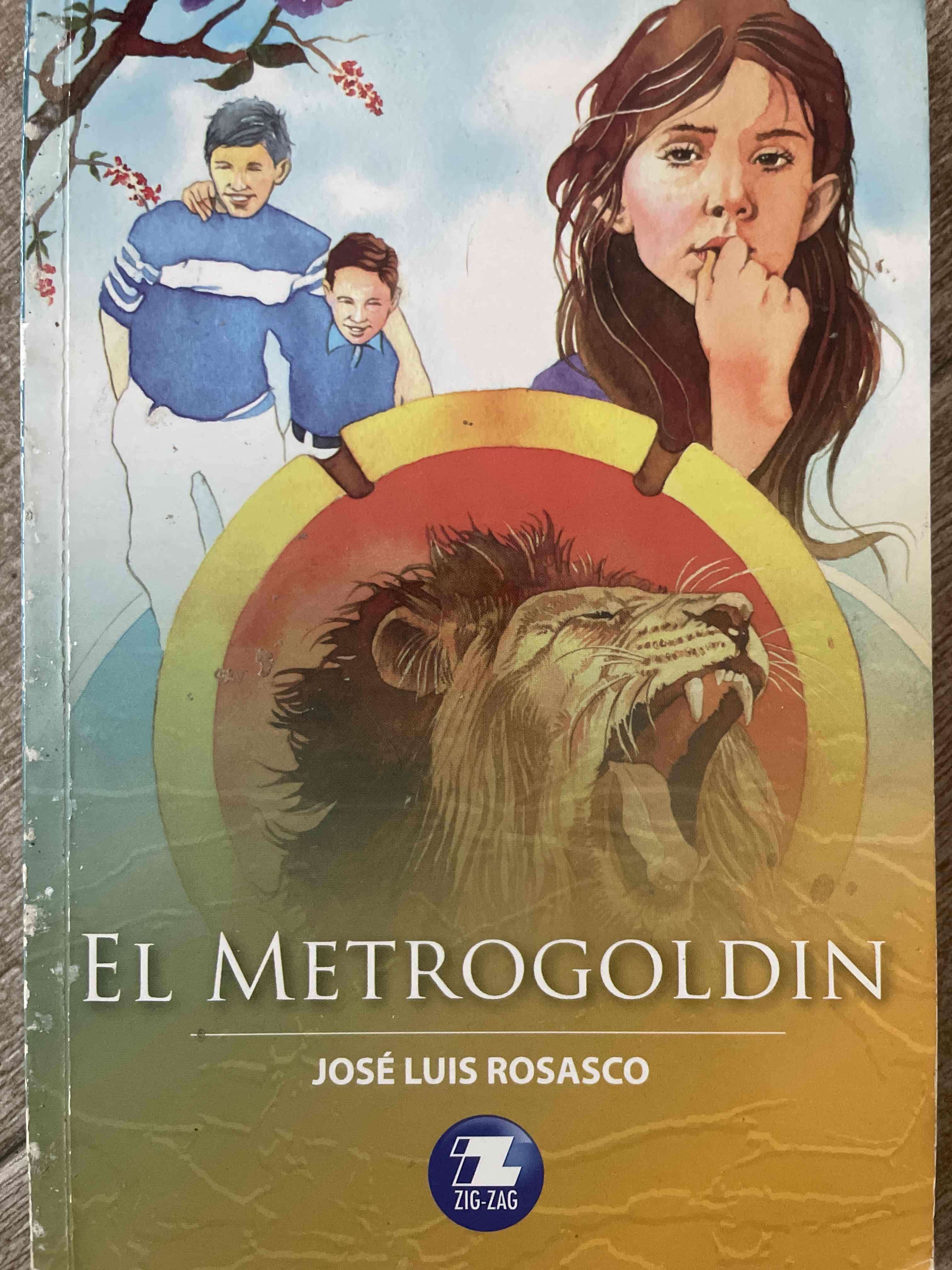 Libro El Metrogoldin
