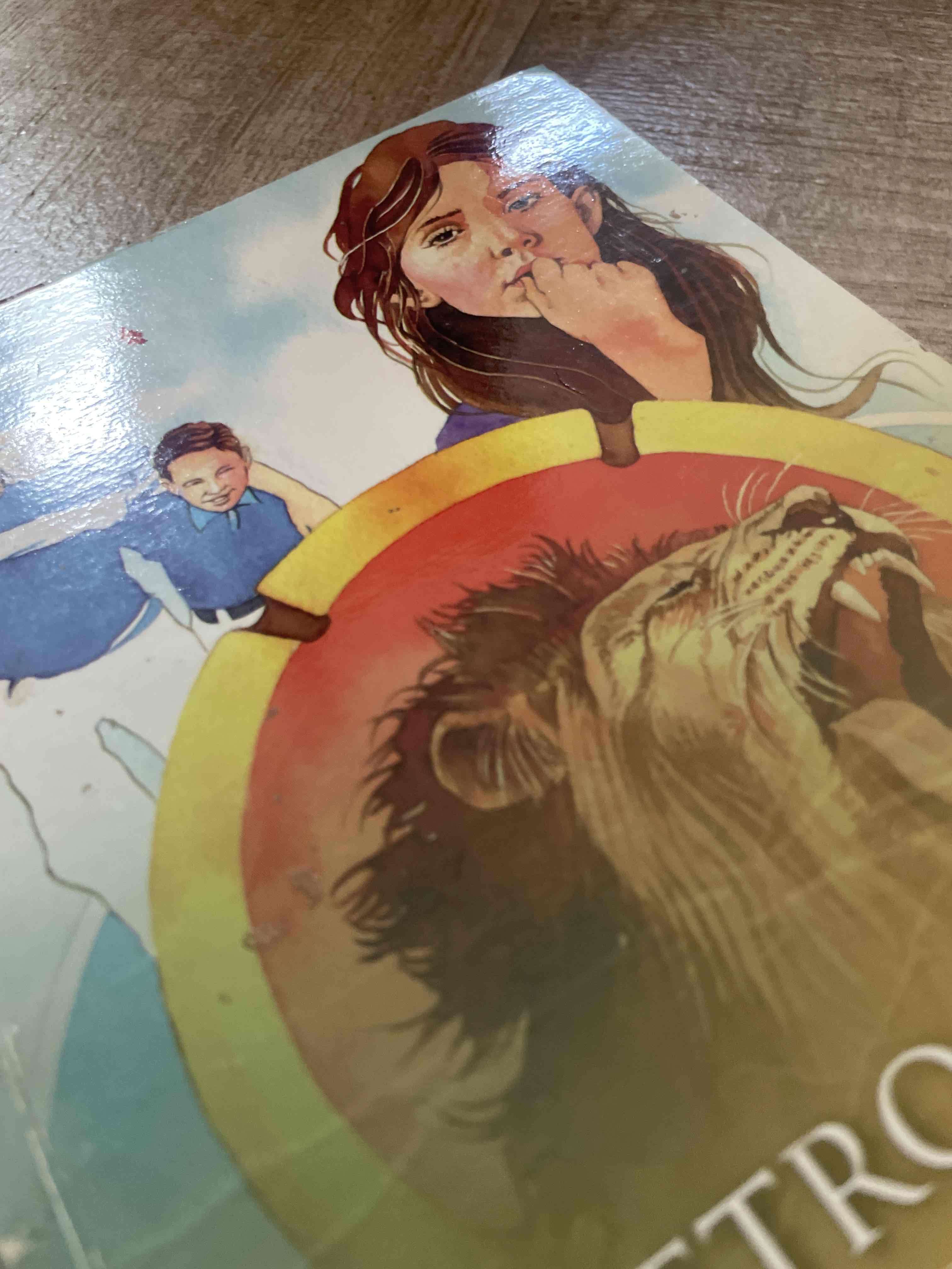 Libro El Metrogoldin - miniatura 3