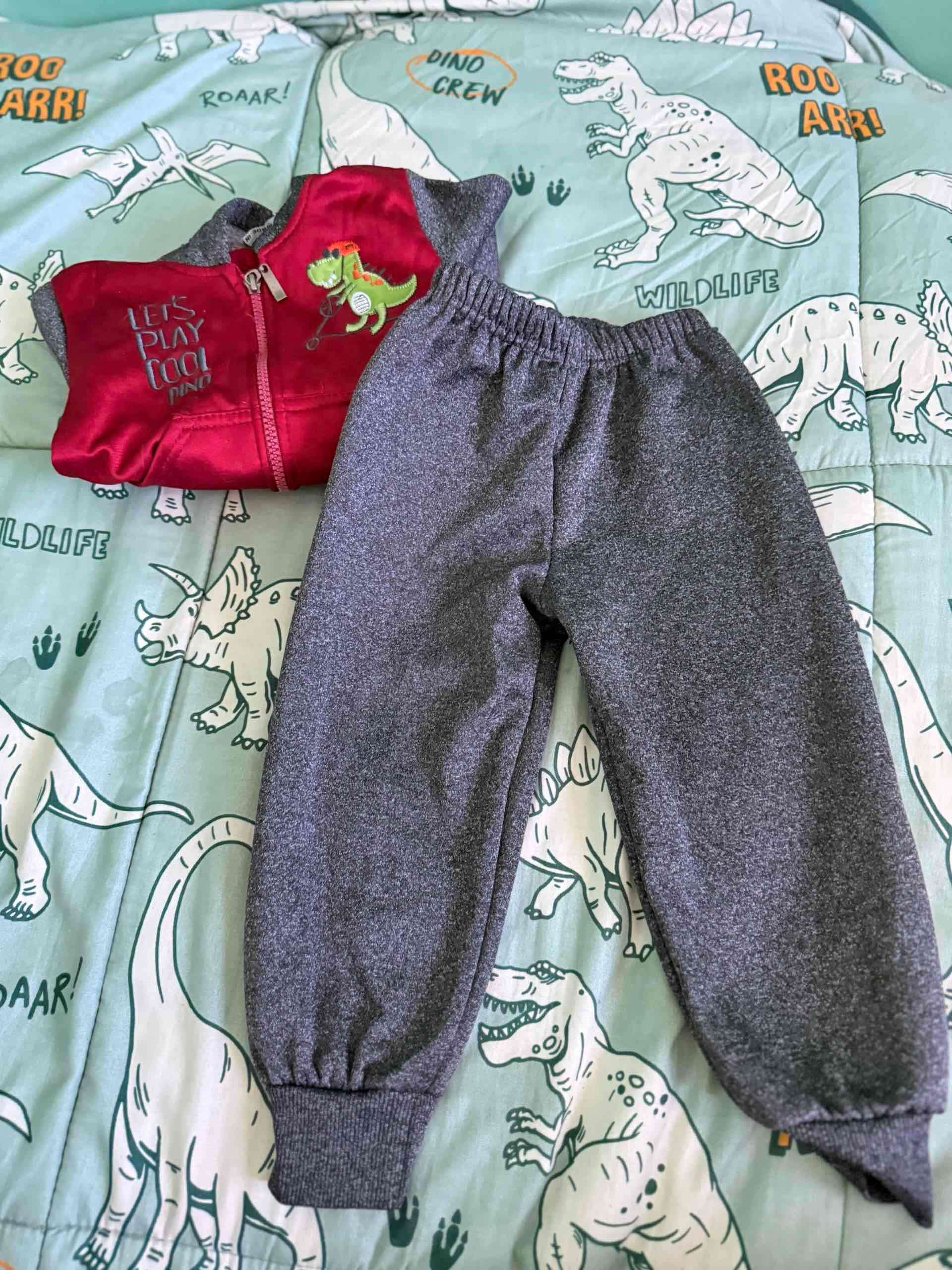 Conjunto infantil dinosaurio talla 2