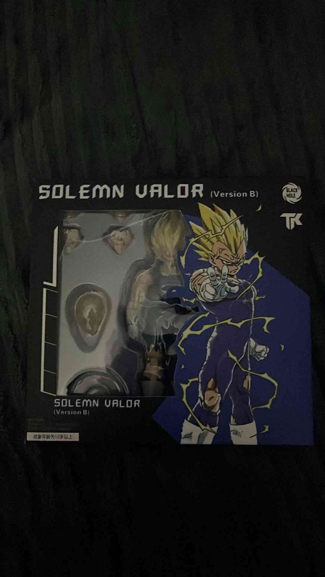 Figura Solemn Valor Version B