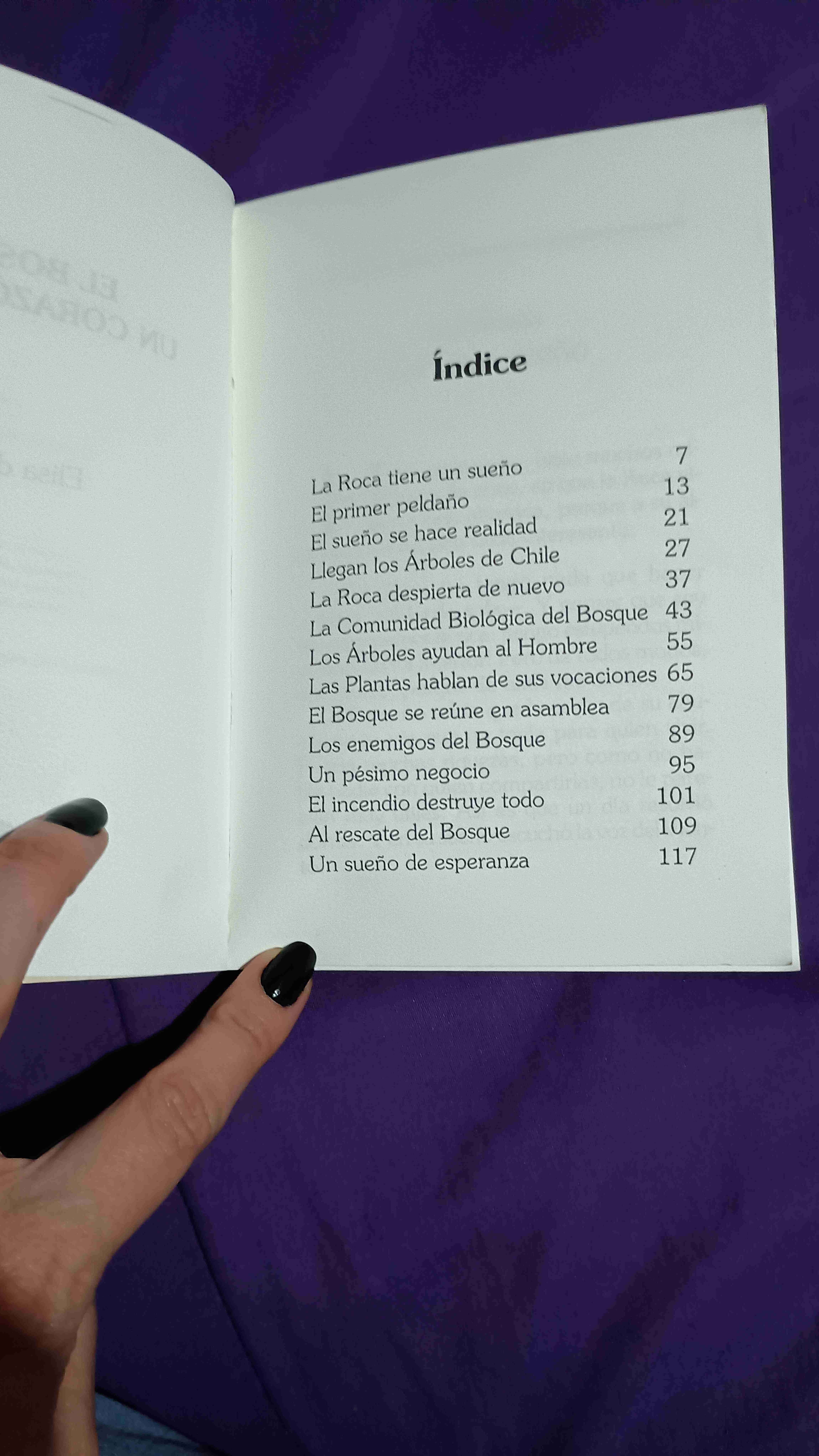 Libro infantil 'El bosque, un corazón verde' - miniatura 2
