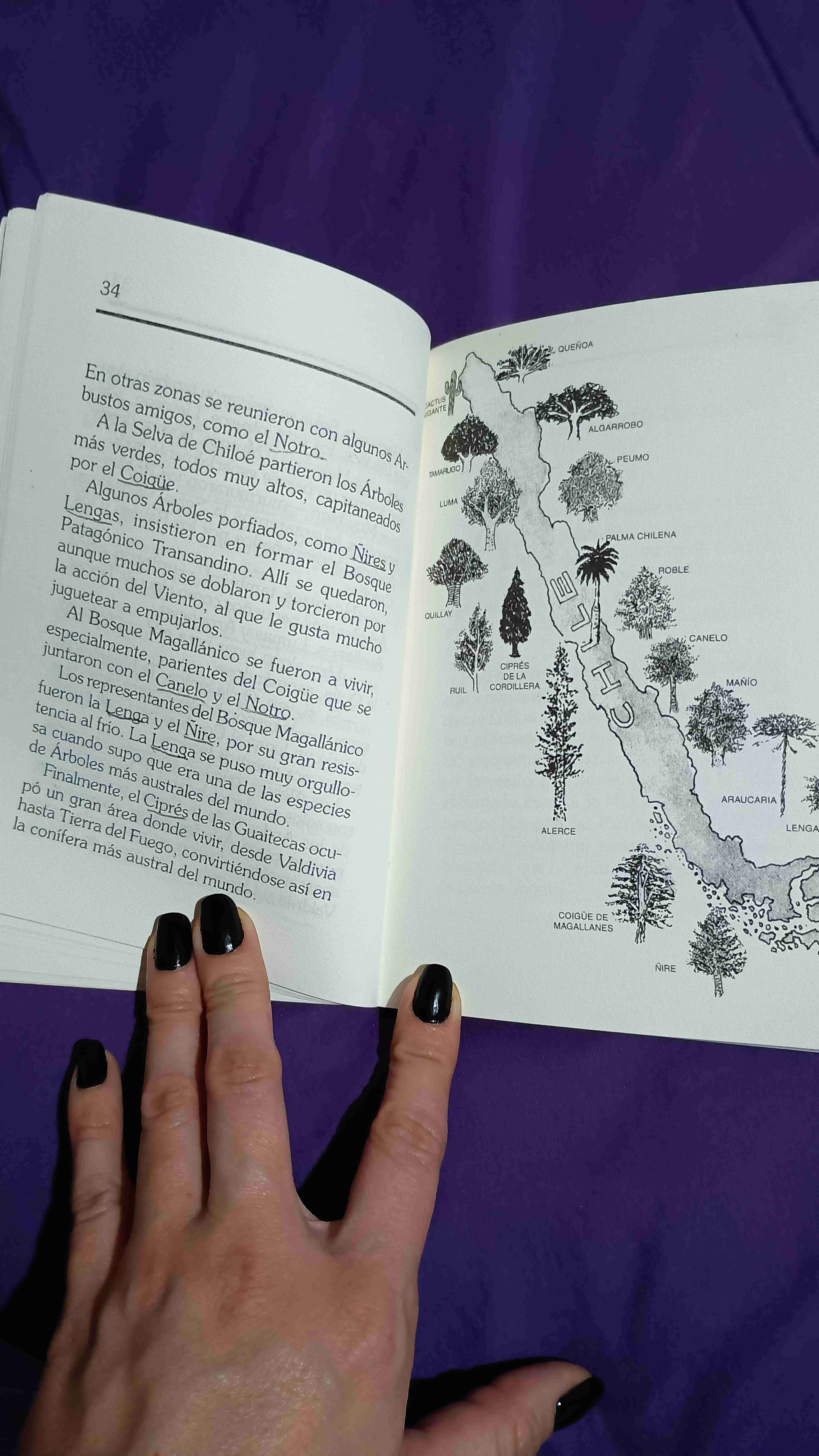 Libro infantil 'El bosque, un corazón verde' - miniatura 3