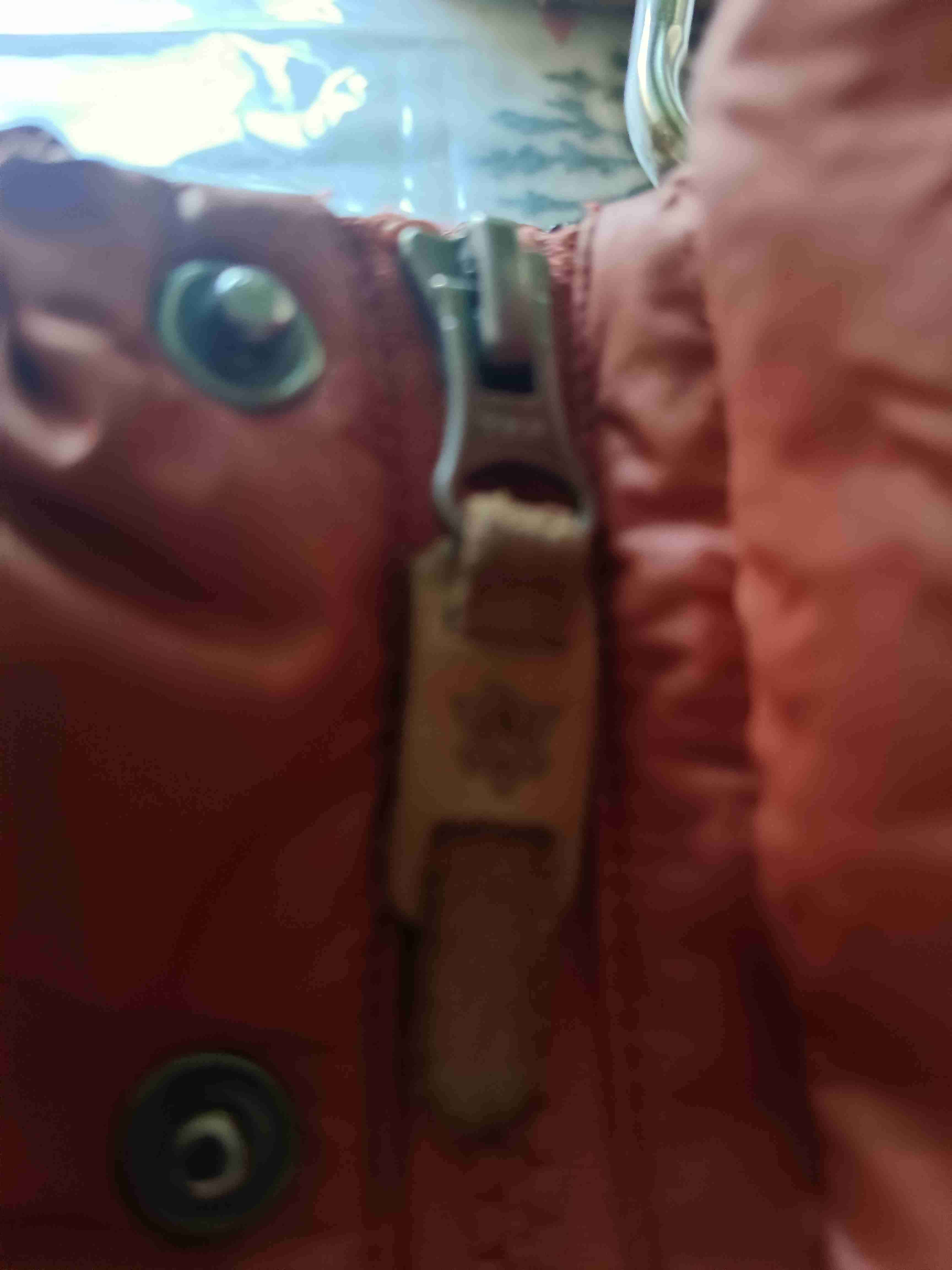 Chaqueta lippi - miniatura 3