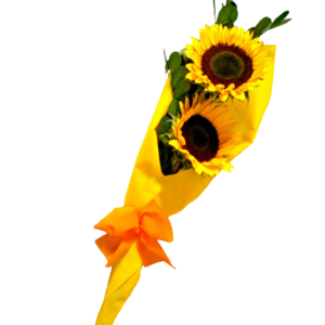 Ramo de rosas rojas y gitamina - miniatura 2