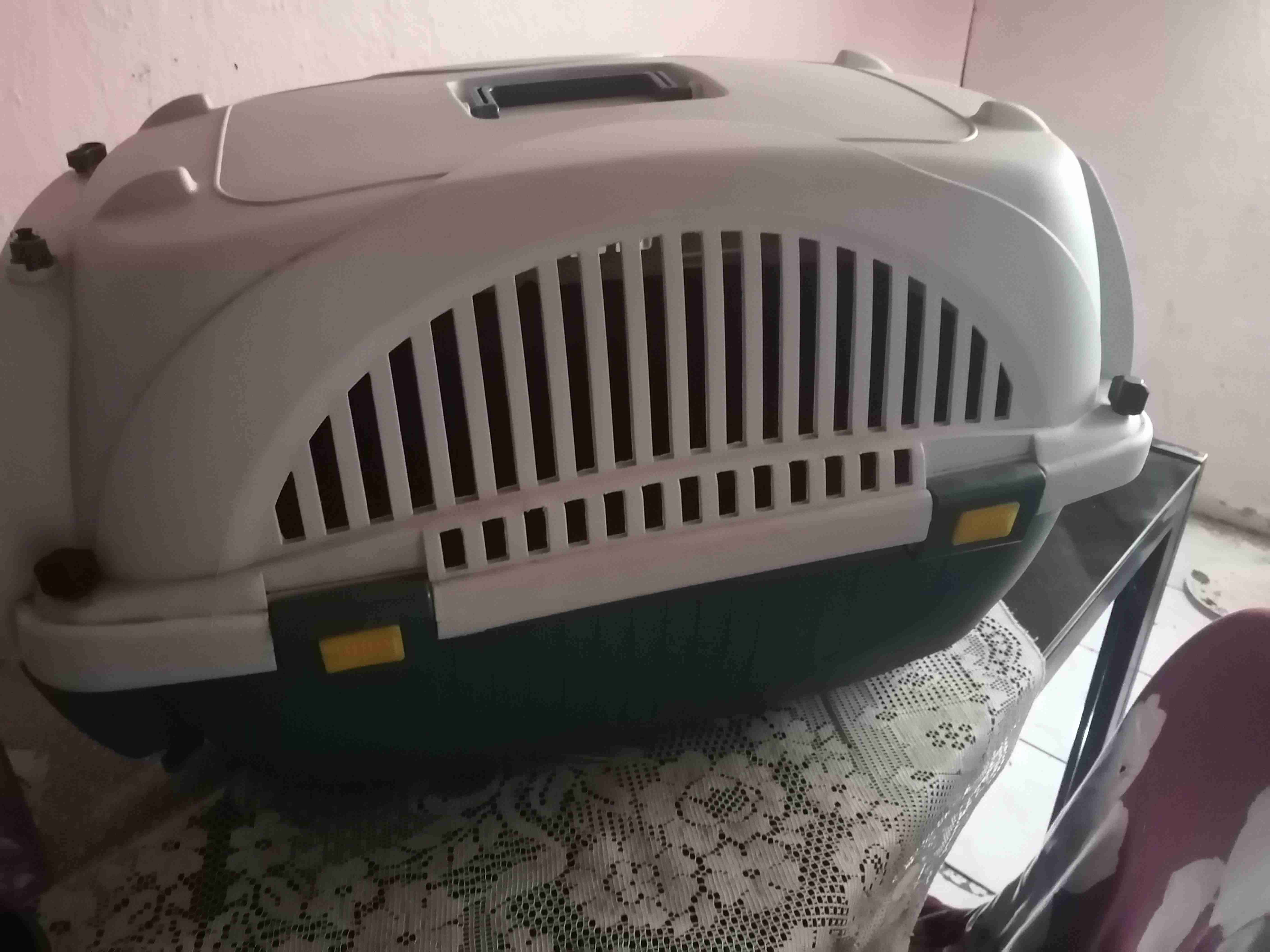 Transportadora para mascotas