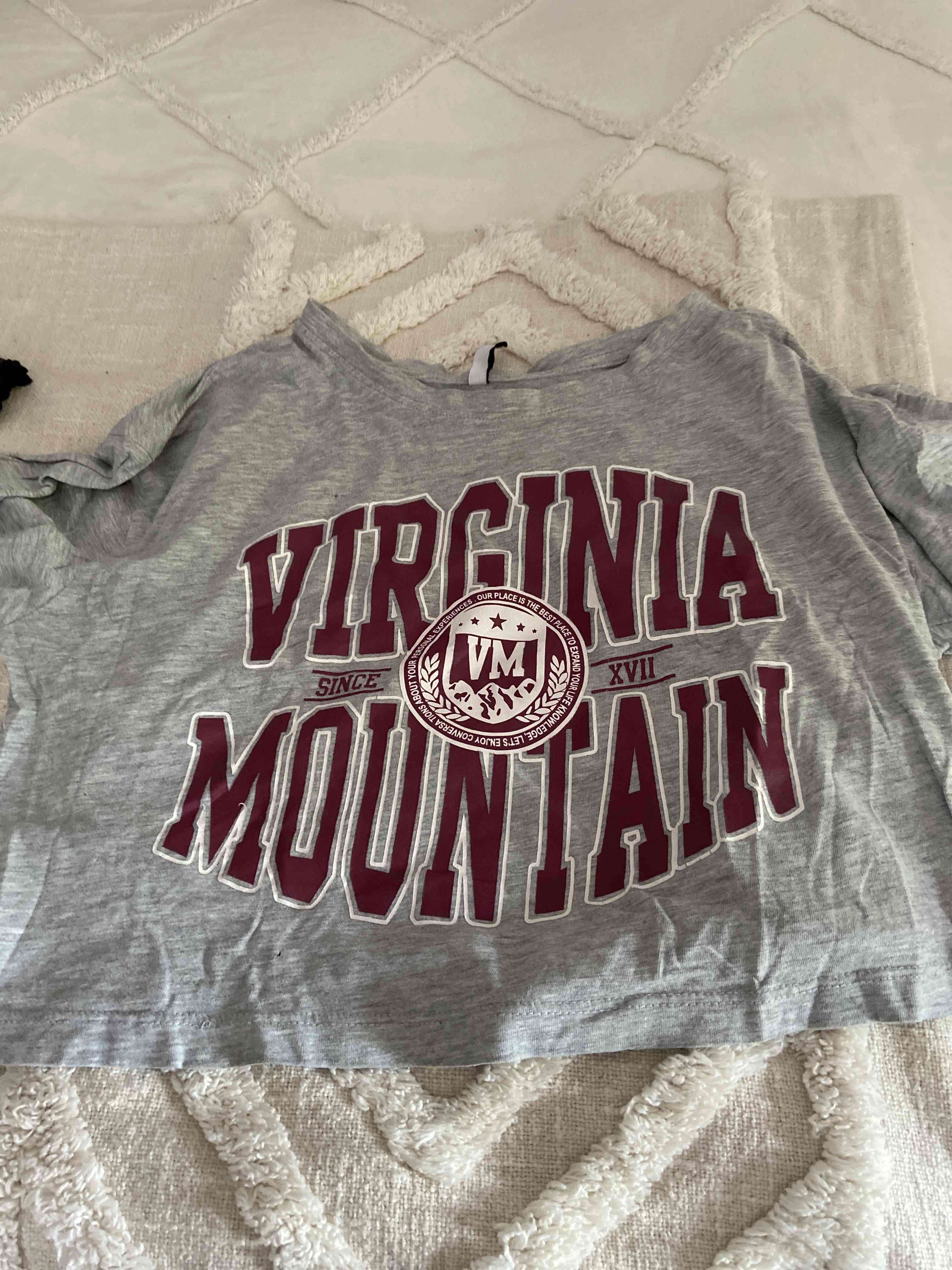 Polera gris Virginia Mountain