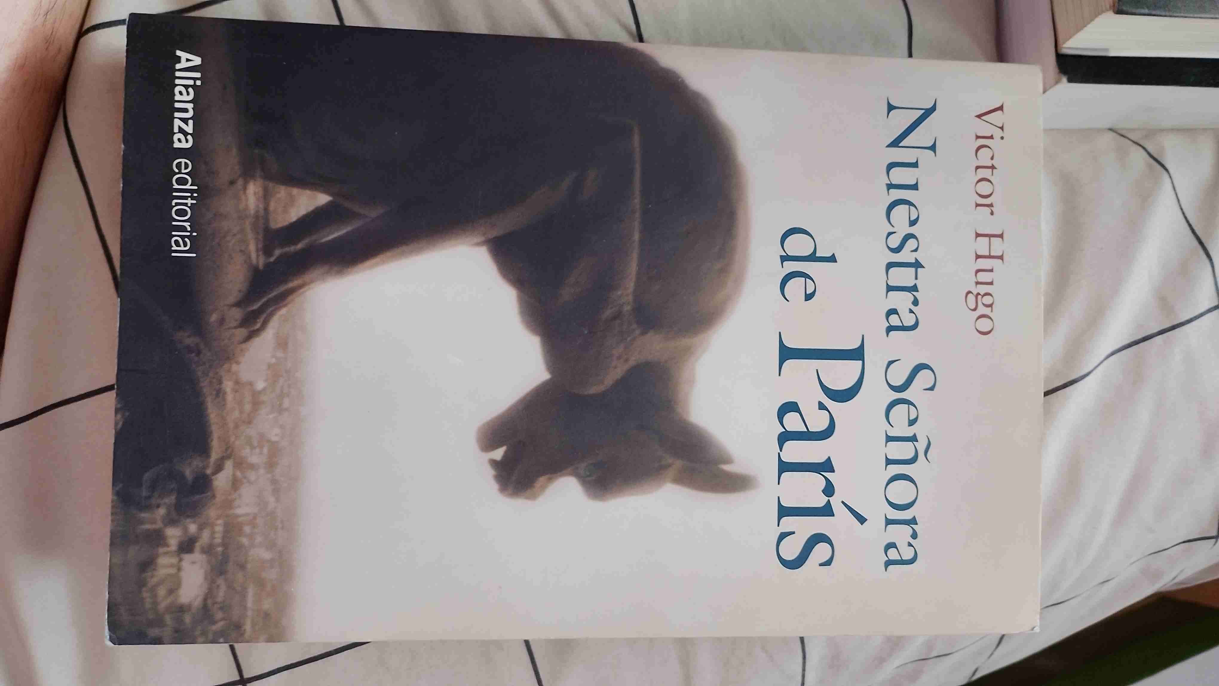 Libro 'Nuestra Señora de París'