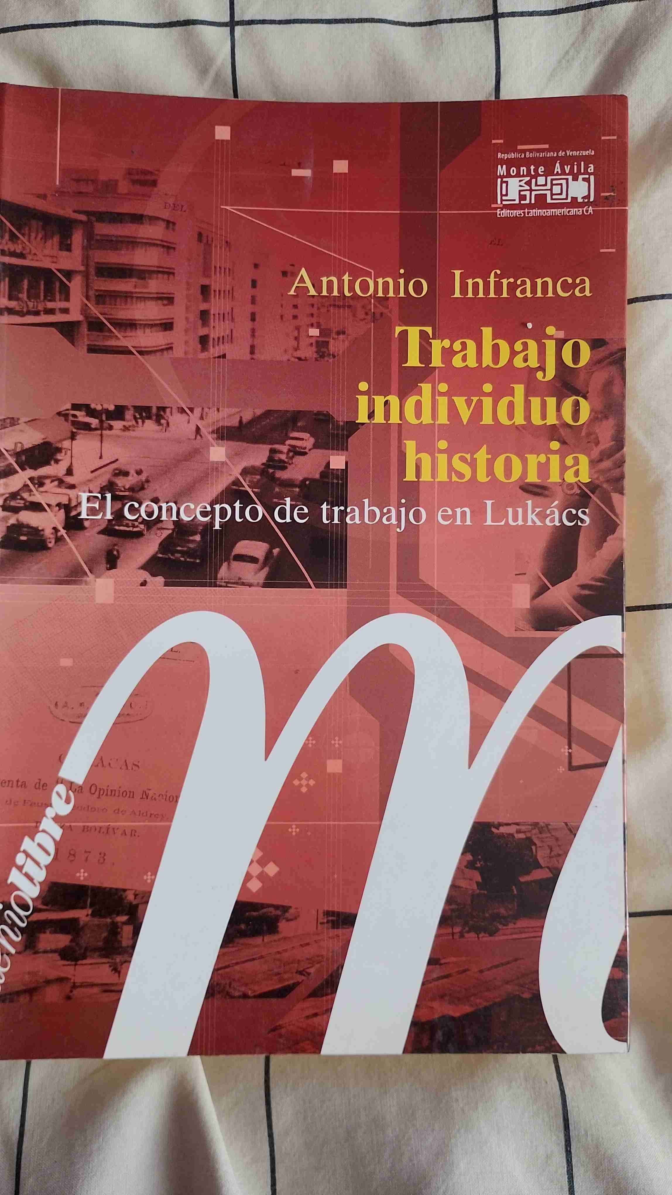 Libro Trabajo Individuo Historia