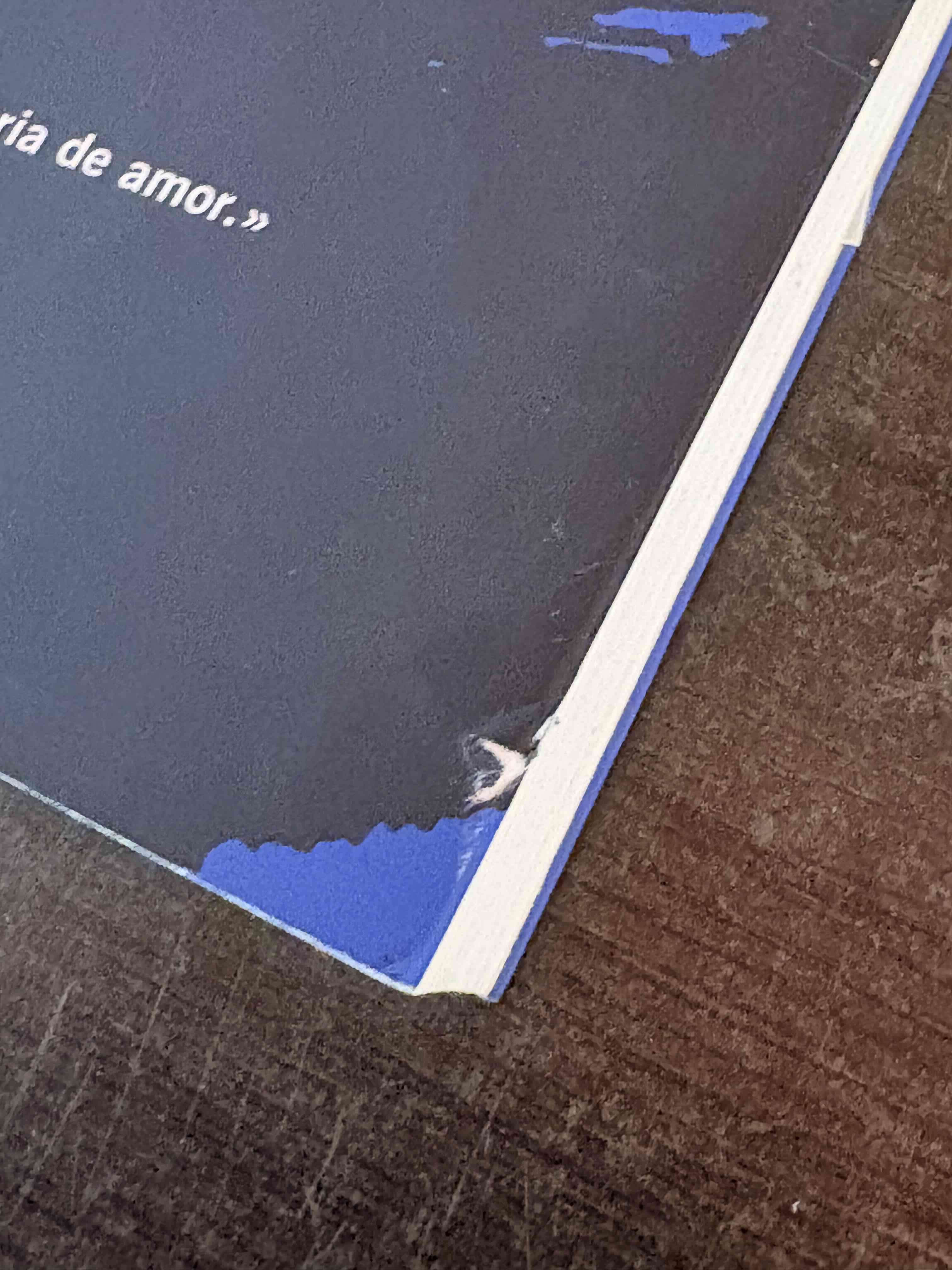 Libro 'Will Grayson, Will Grayson' - miniatura 4