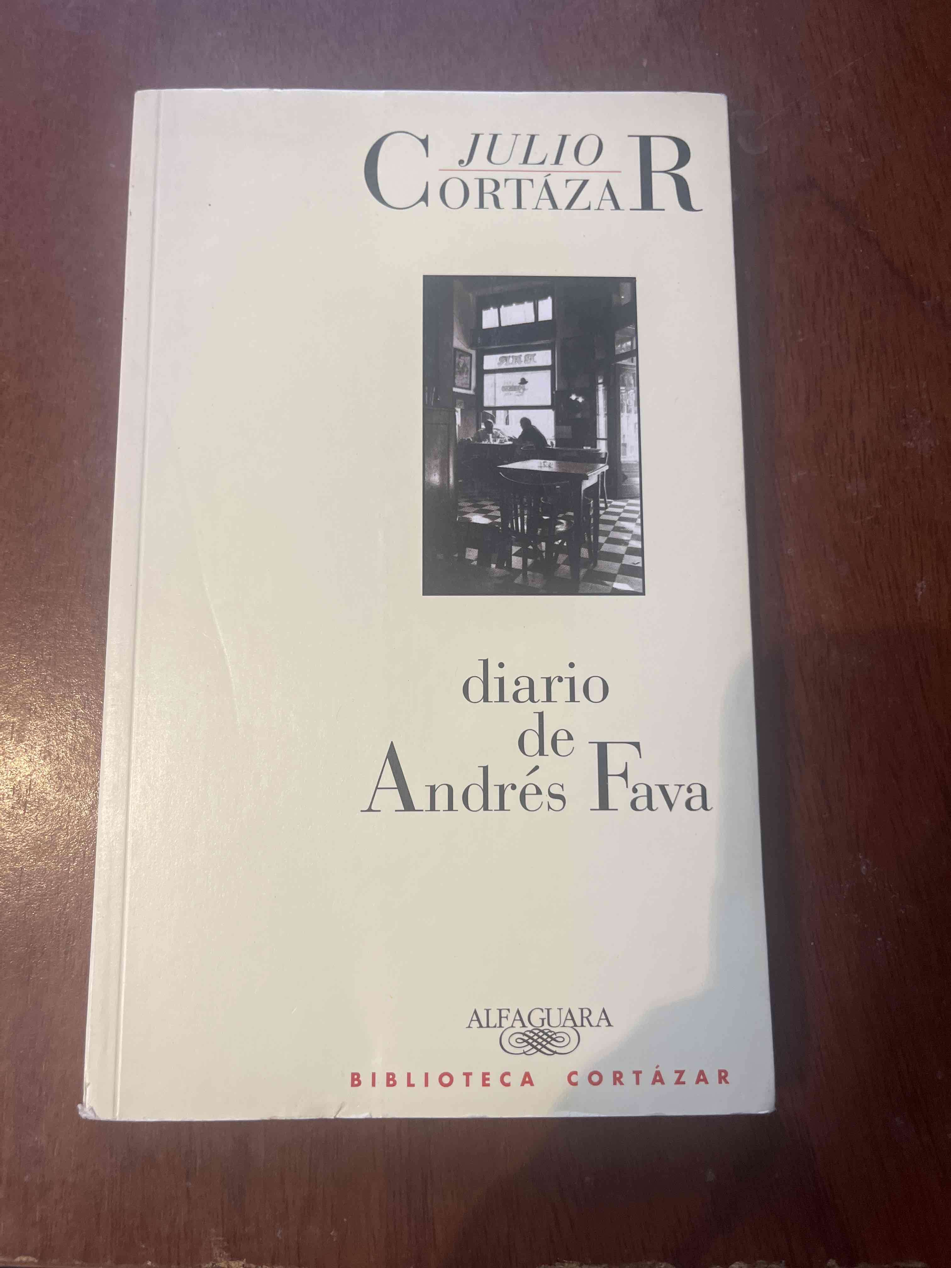 Libro Diario de Andrés Fava