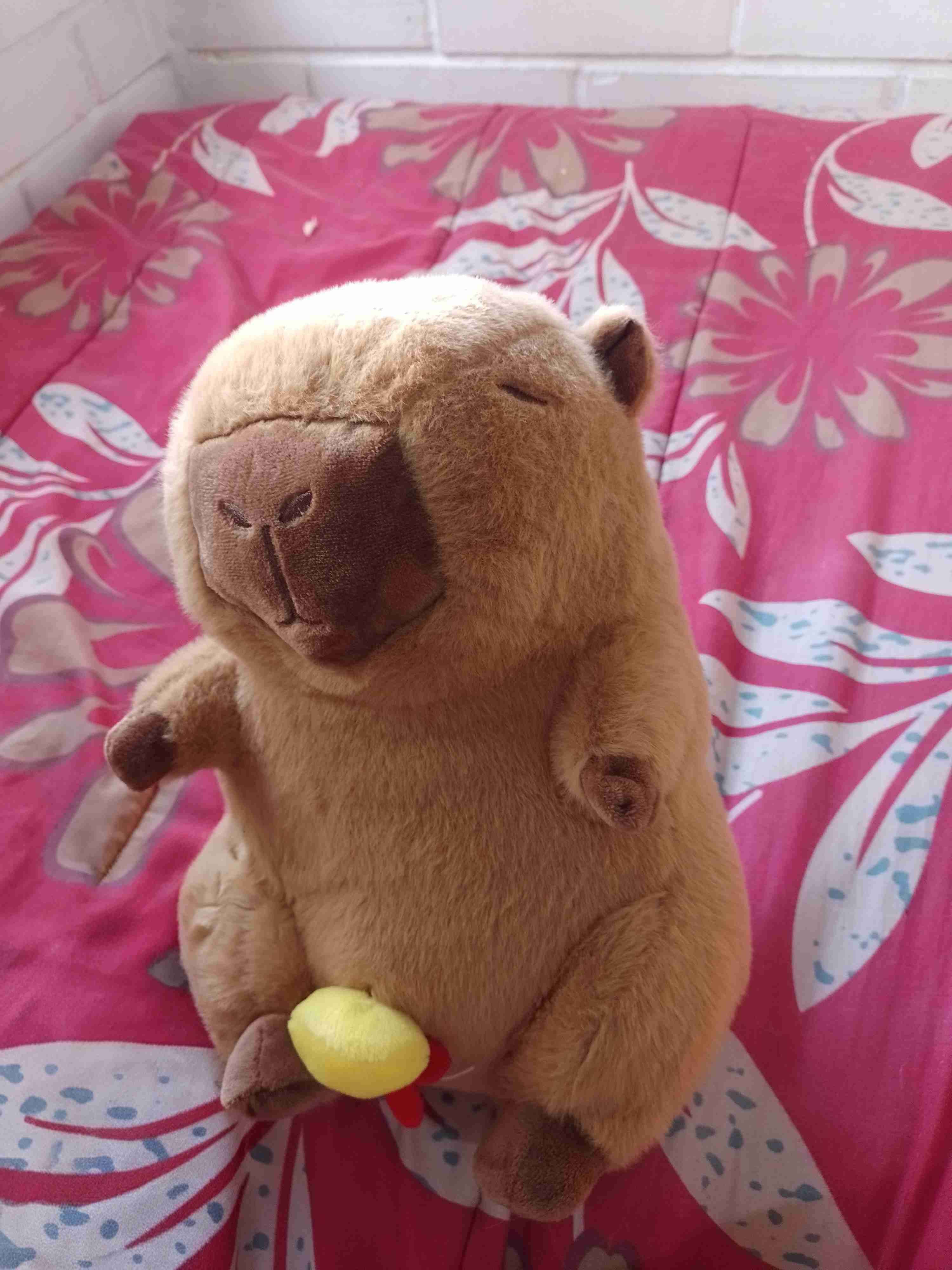 Peluche de capibara suave
