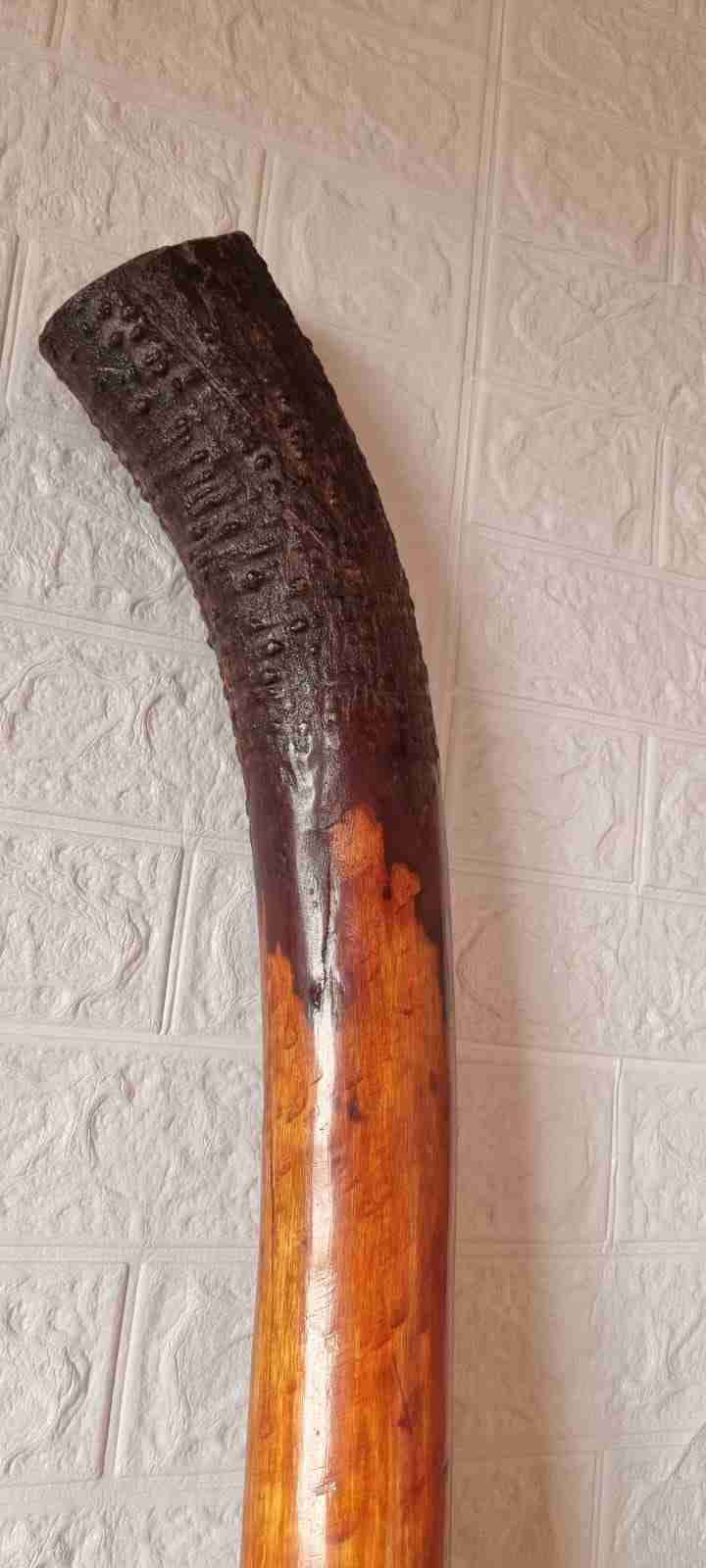 Instrumento musical ceremonial Didgiridoo - miniatura 3