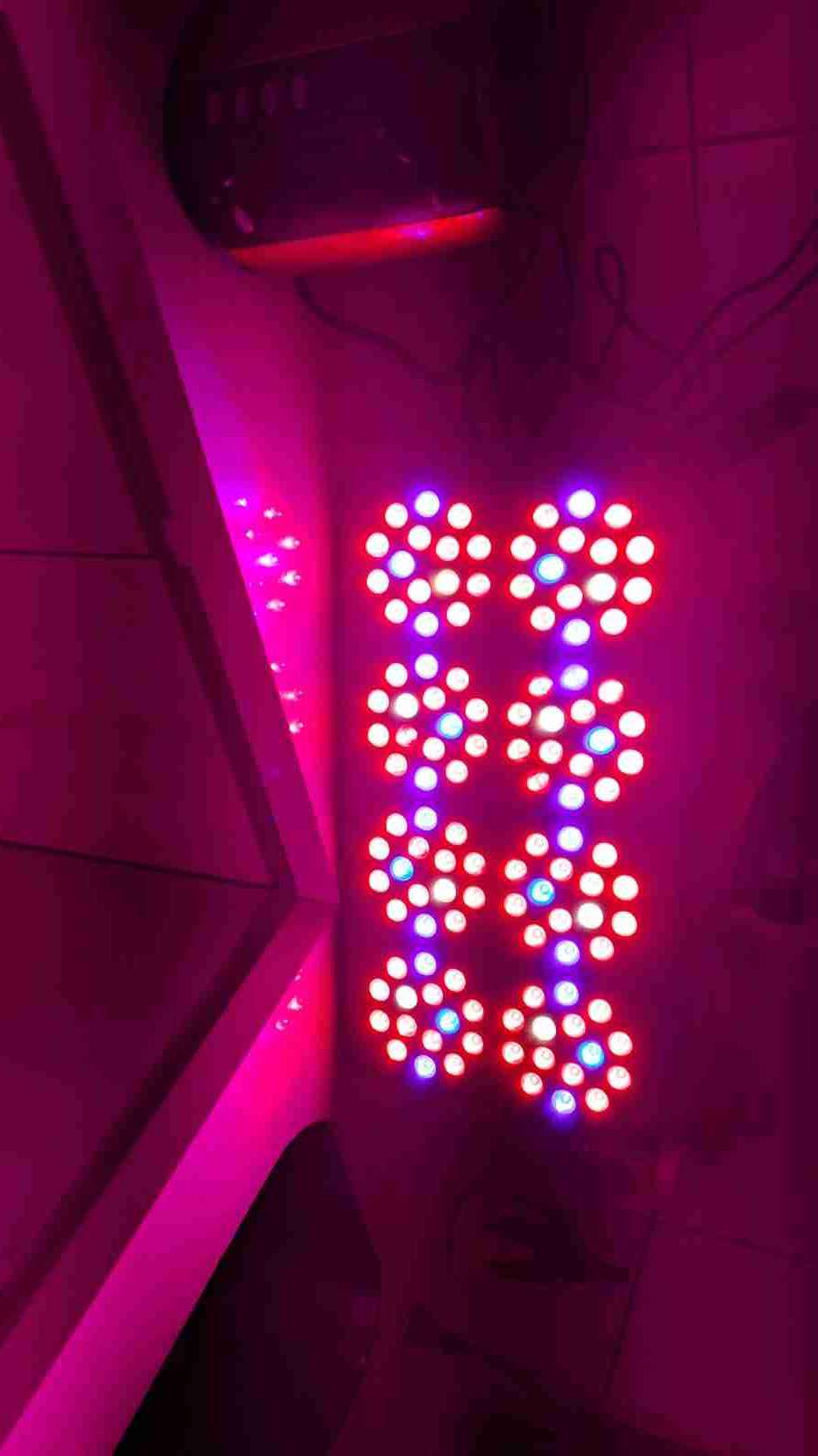 Luces LED para cultivo indoor XPE 2