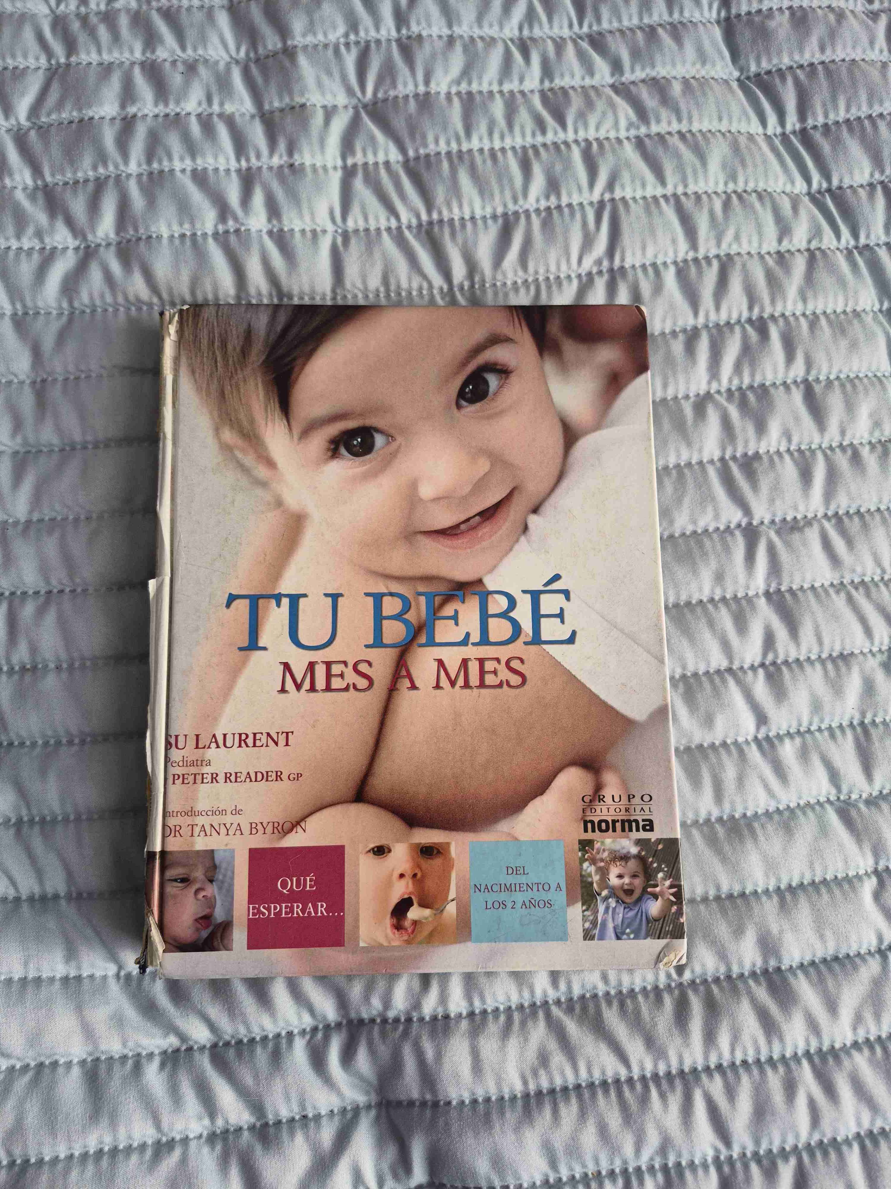 Libro 'Tu bebé mes a mes'