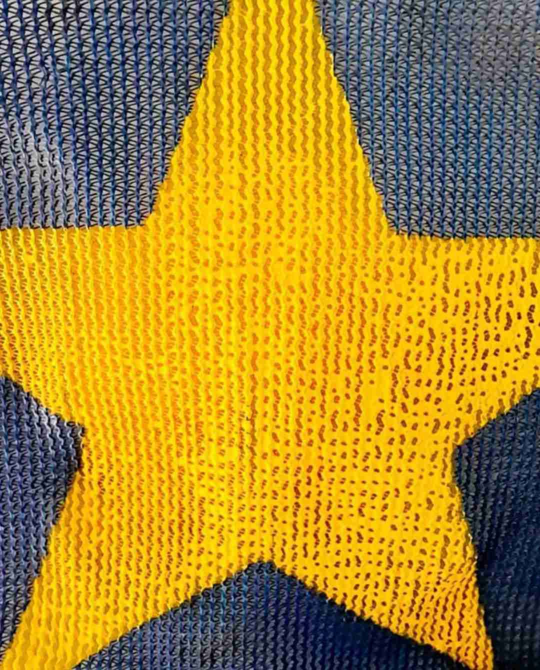 Bandera antigua Everton Viña del Mar. - miniatura 2