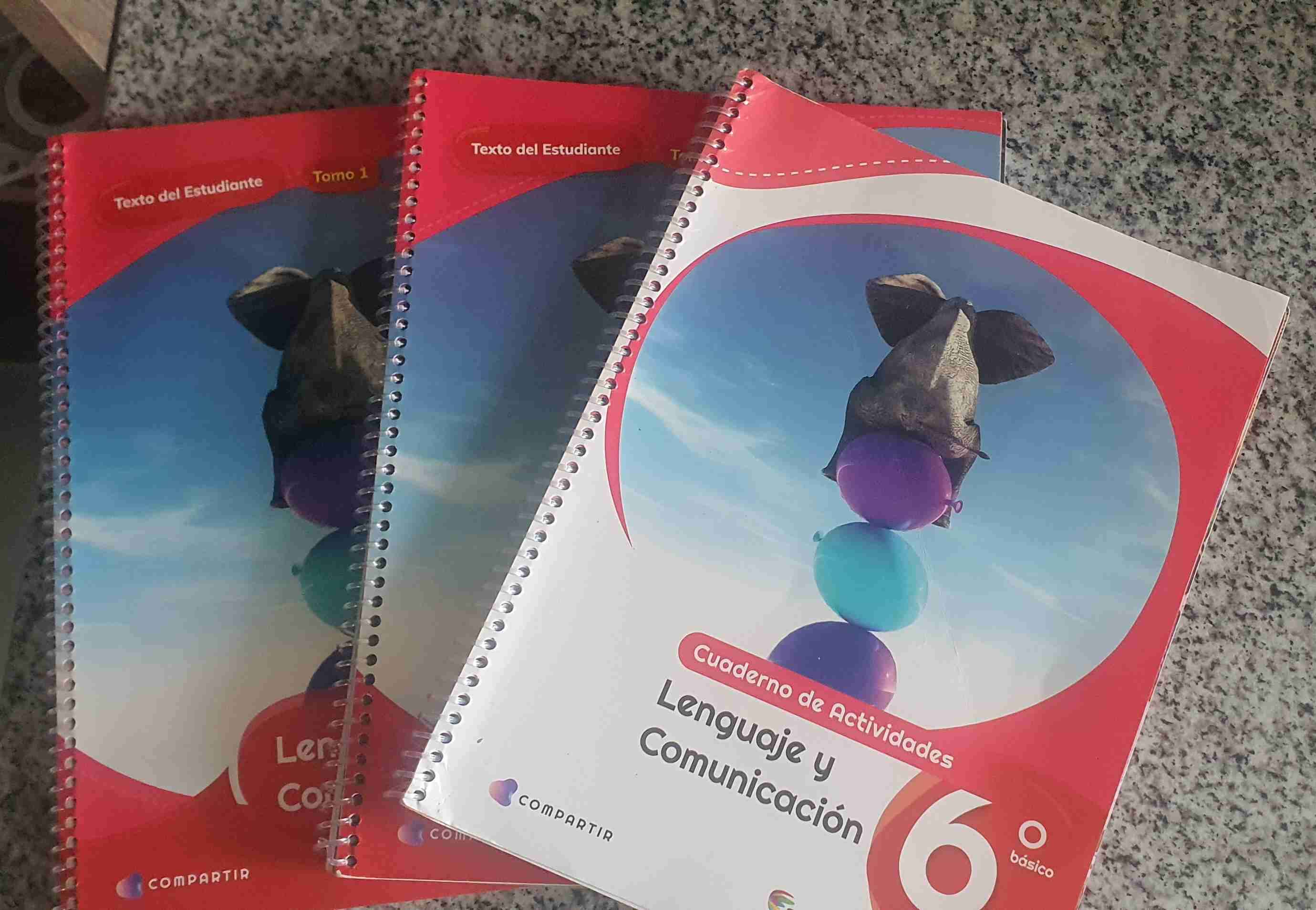 Libro Lenguaje 6 básico Santilla Compartir