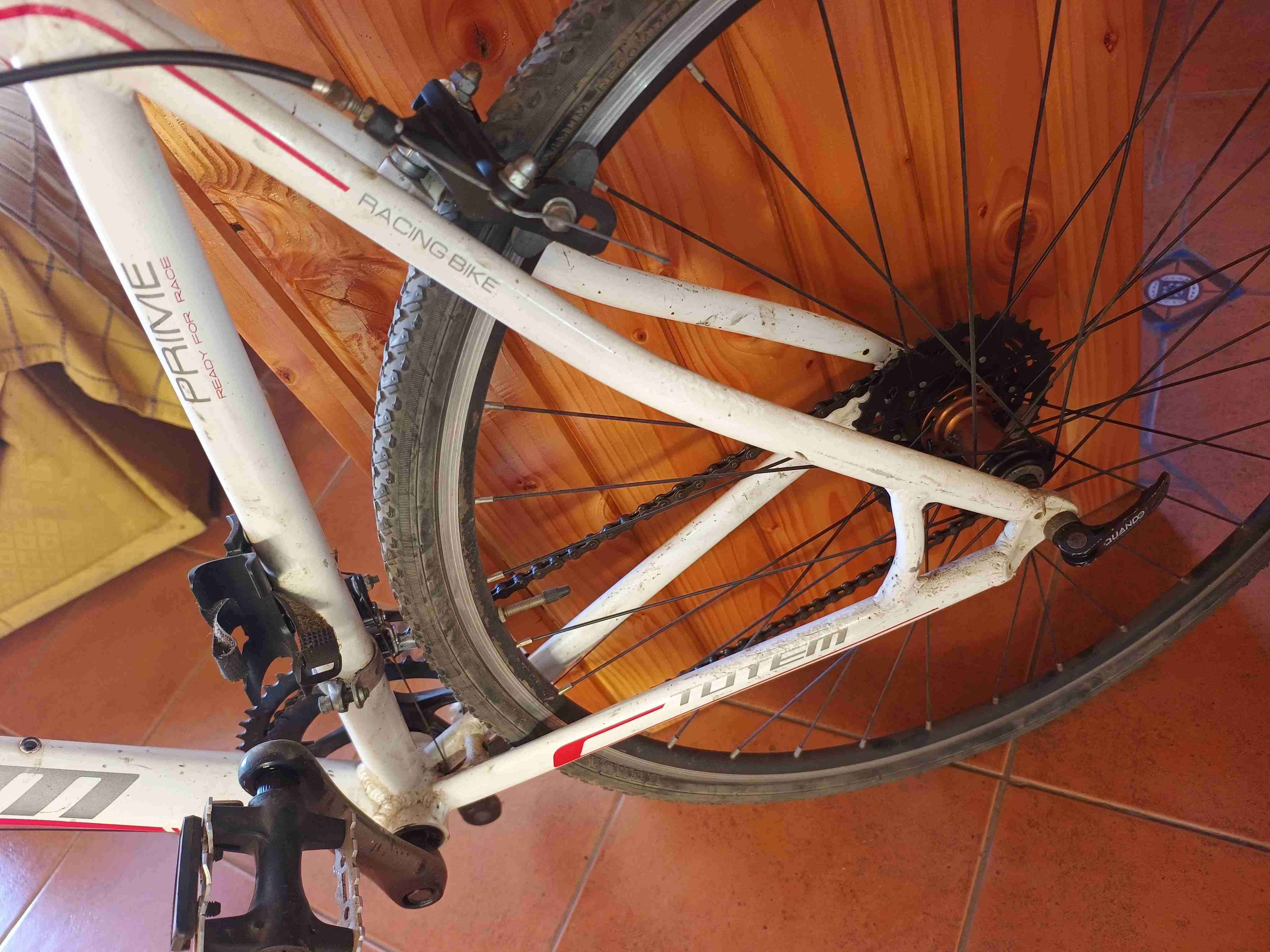 Bicicleta pistera totem - miniatura 4