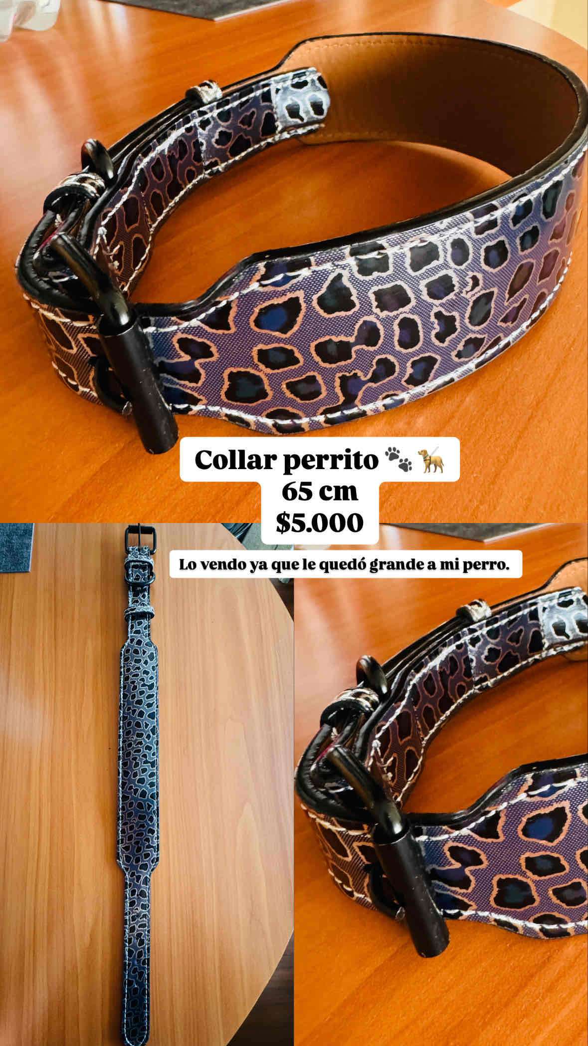 Collar para perro estampado animal print