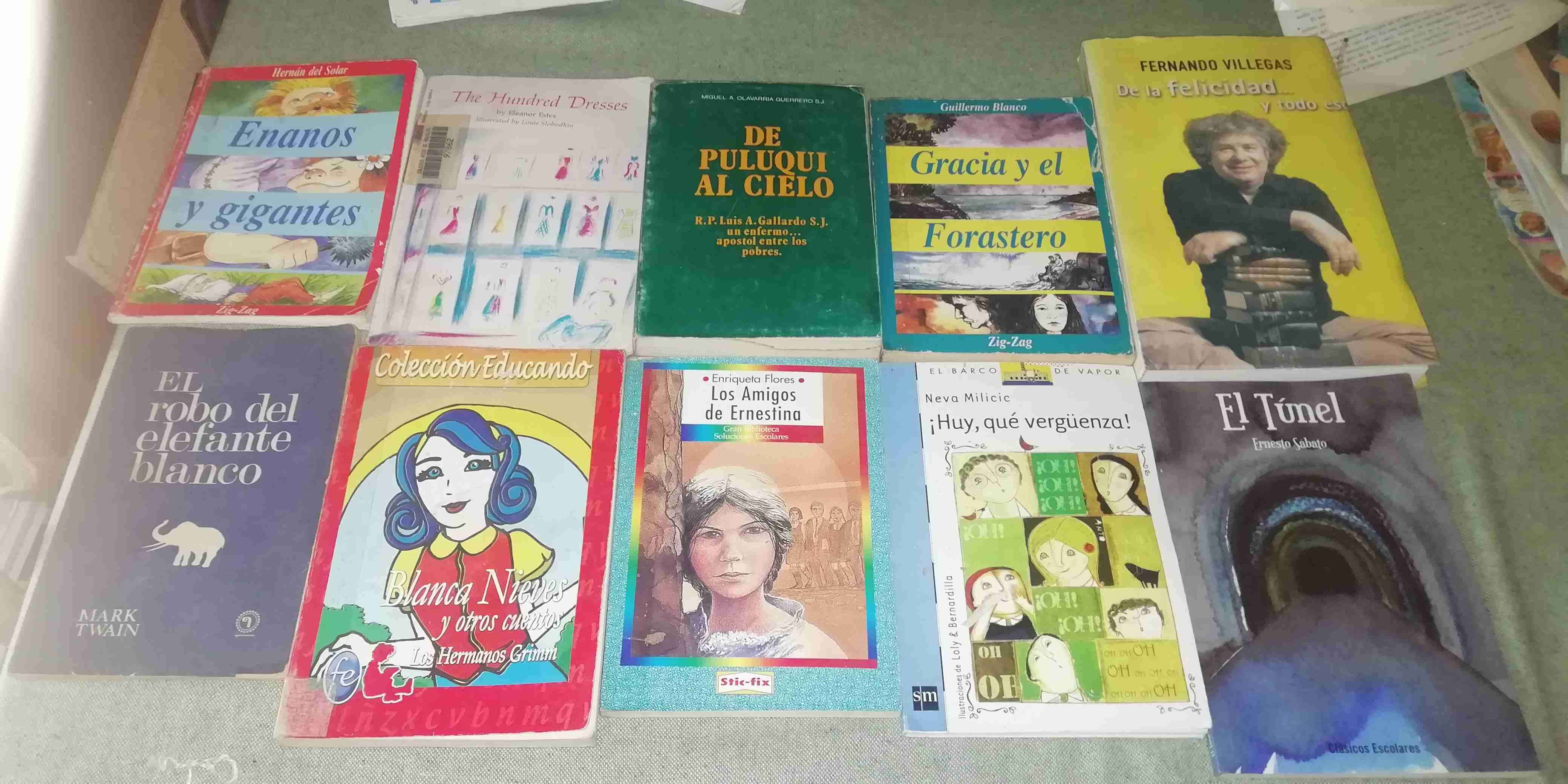 Lote de libros variados
