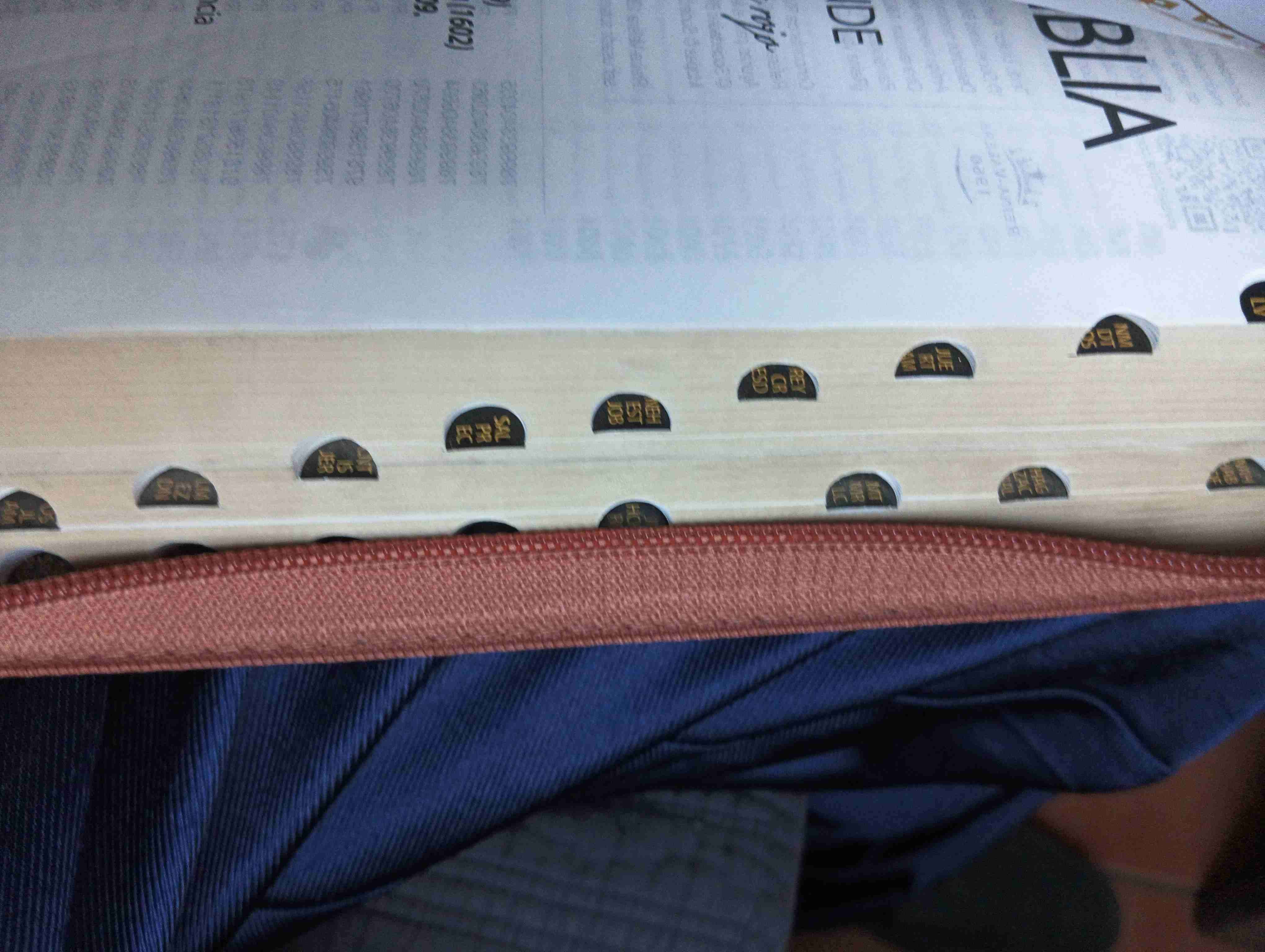 Santa Biblia Letra Grande - miniatura 5