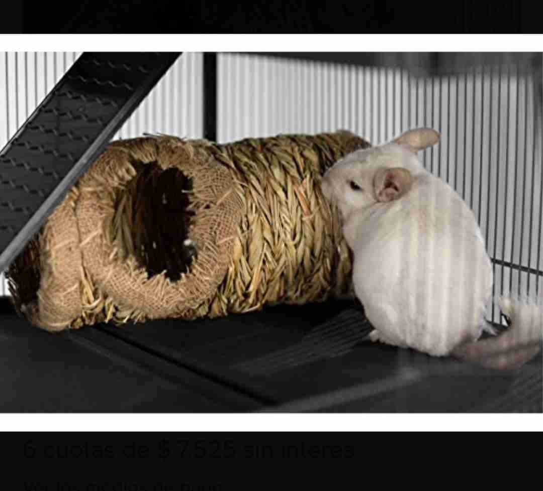 Tunel de juego para roedores