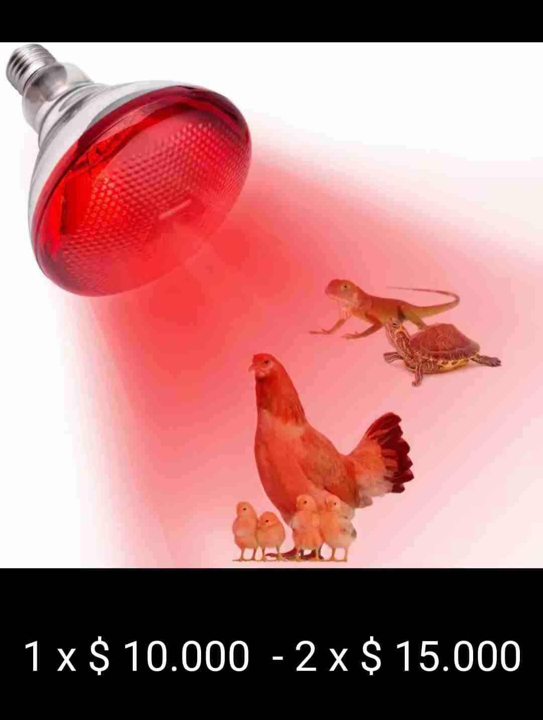 Lámpara infrarroja para mascotas