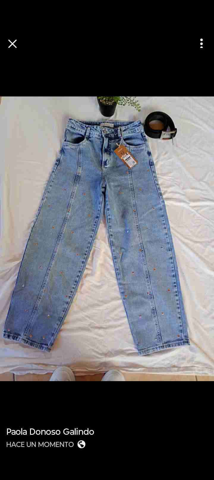 Jeans celestes bordados