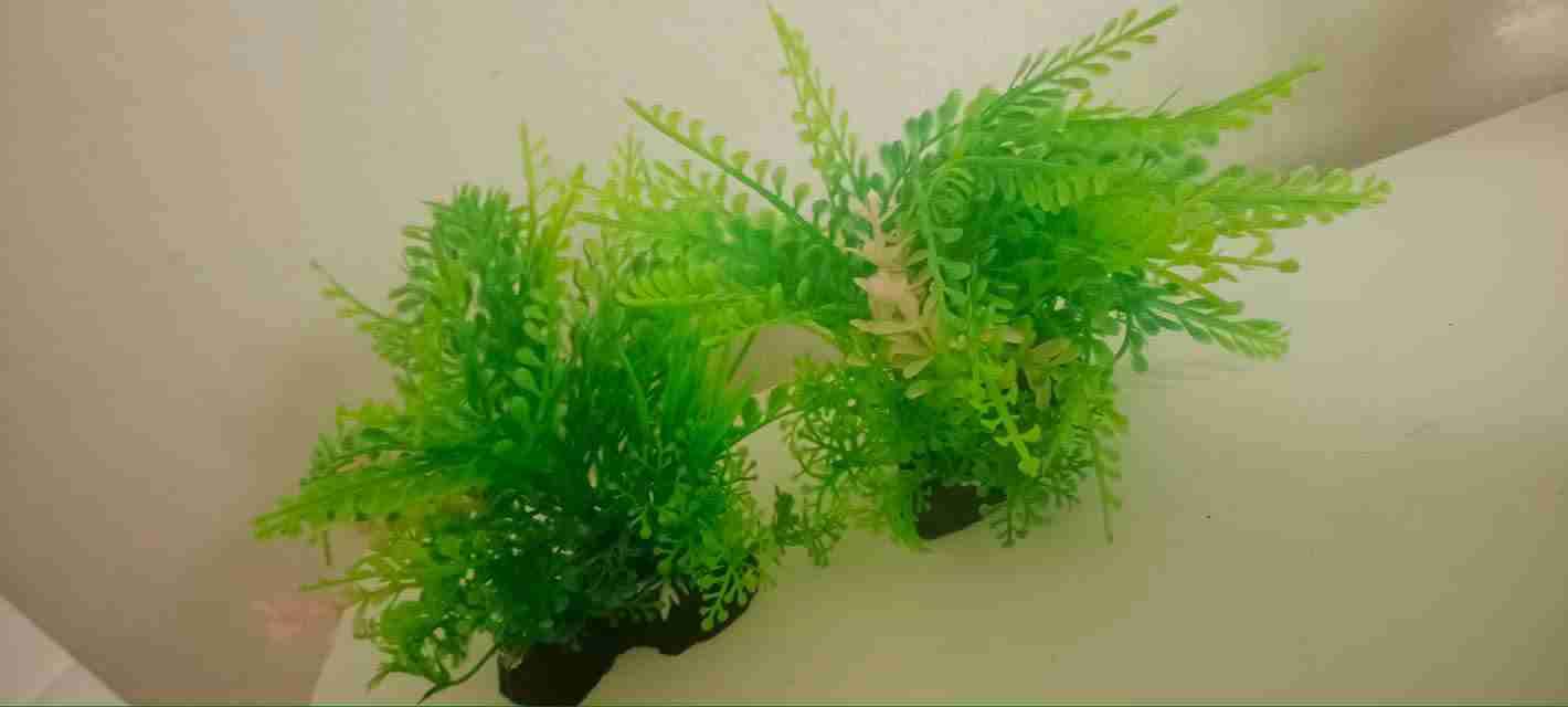 Plantas artificiales para acuario - miniatura 3