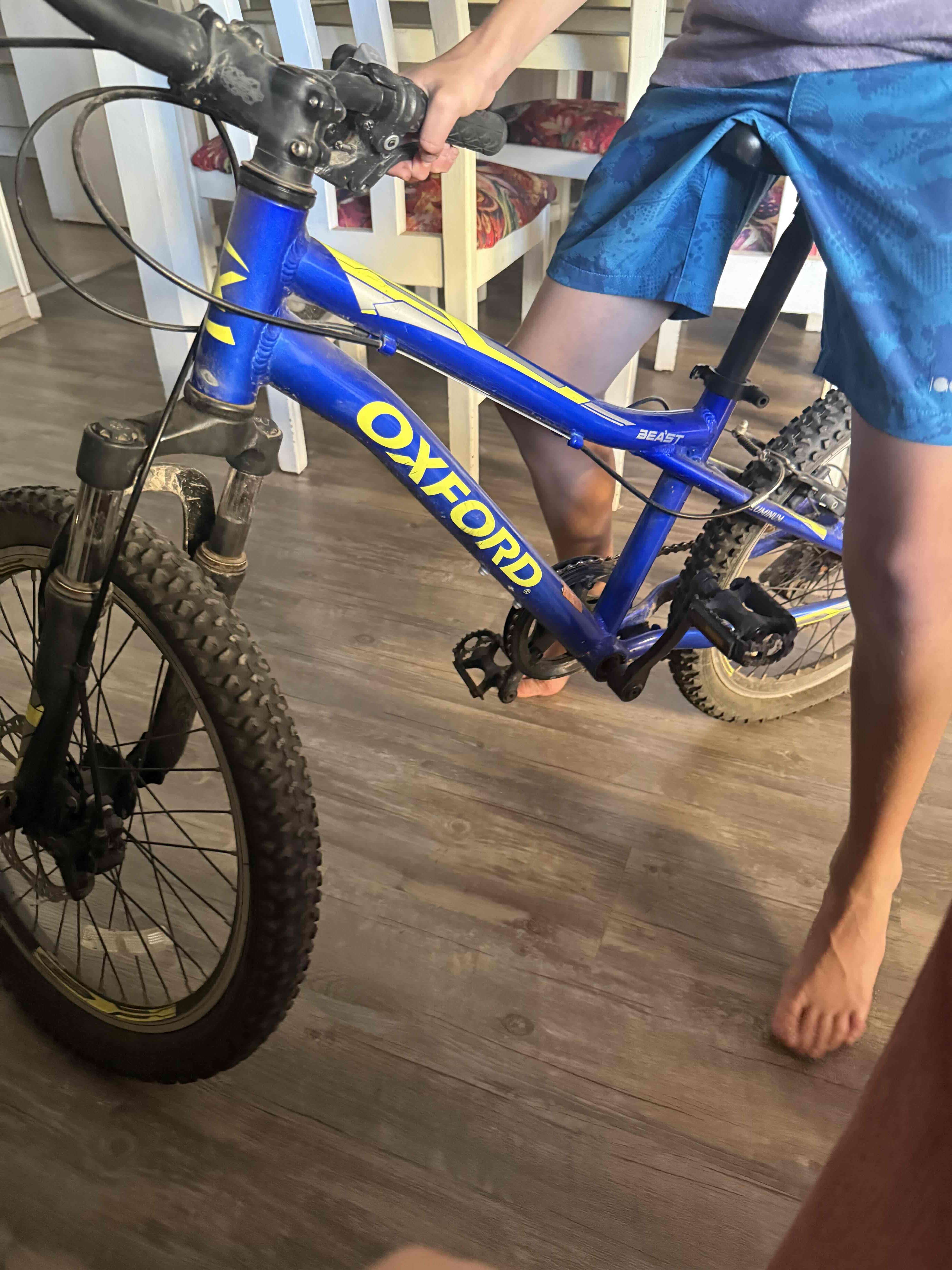 Bicicleta Oxford azul para niño