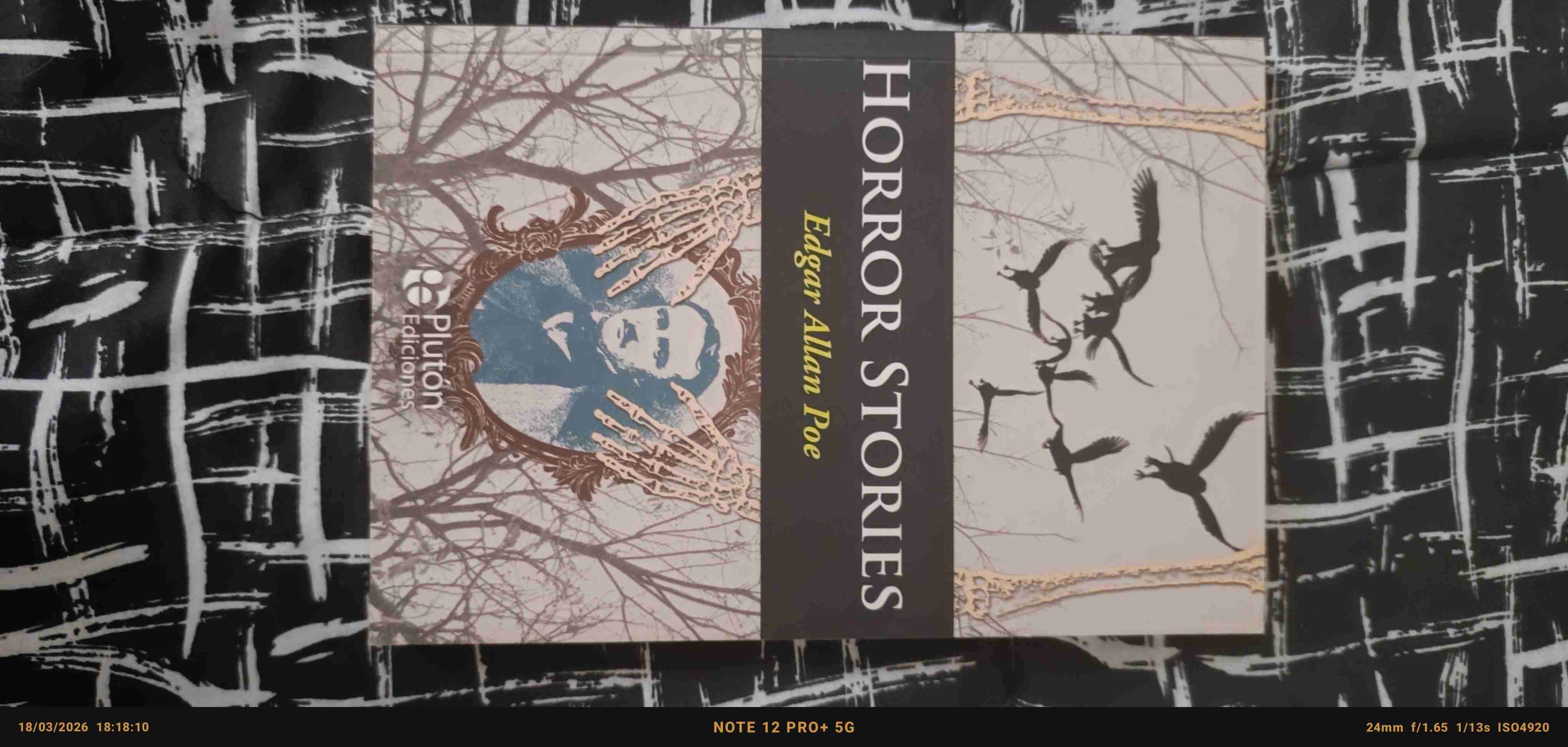 Libro 'Horror Stories' Edgar Allan Poe